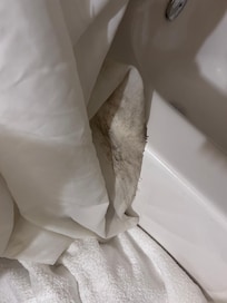 Shower curtain mold