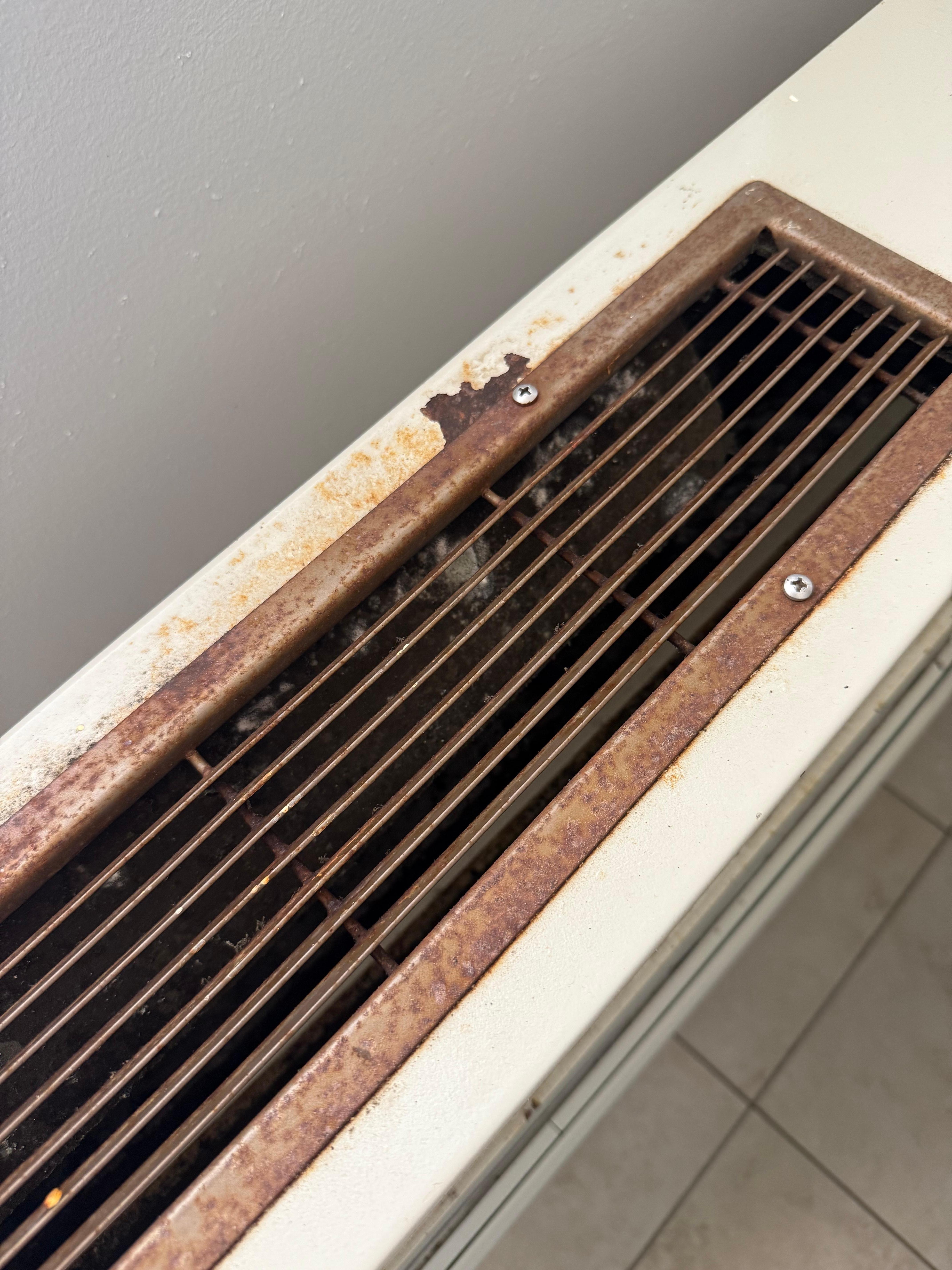 Mold growing in the main ac unit in the living room. 