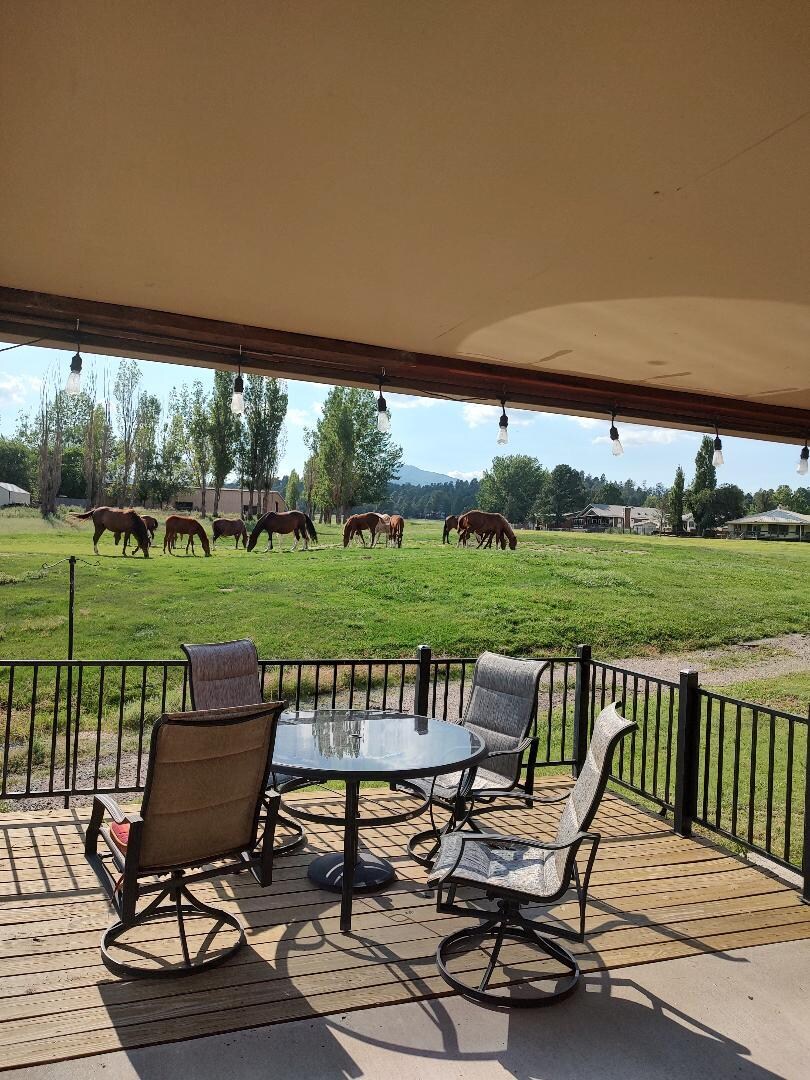 View from our patio.