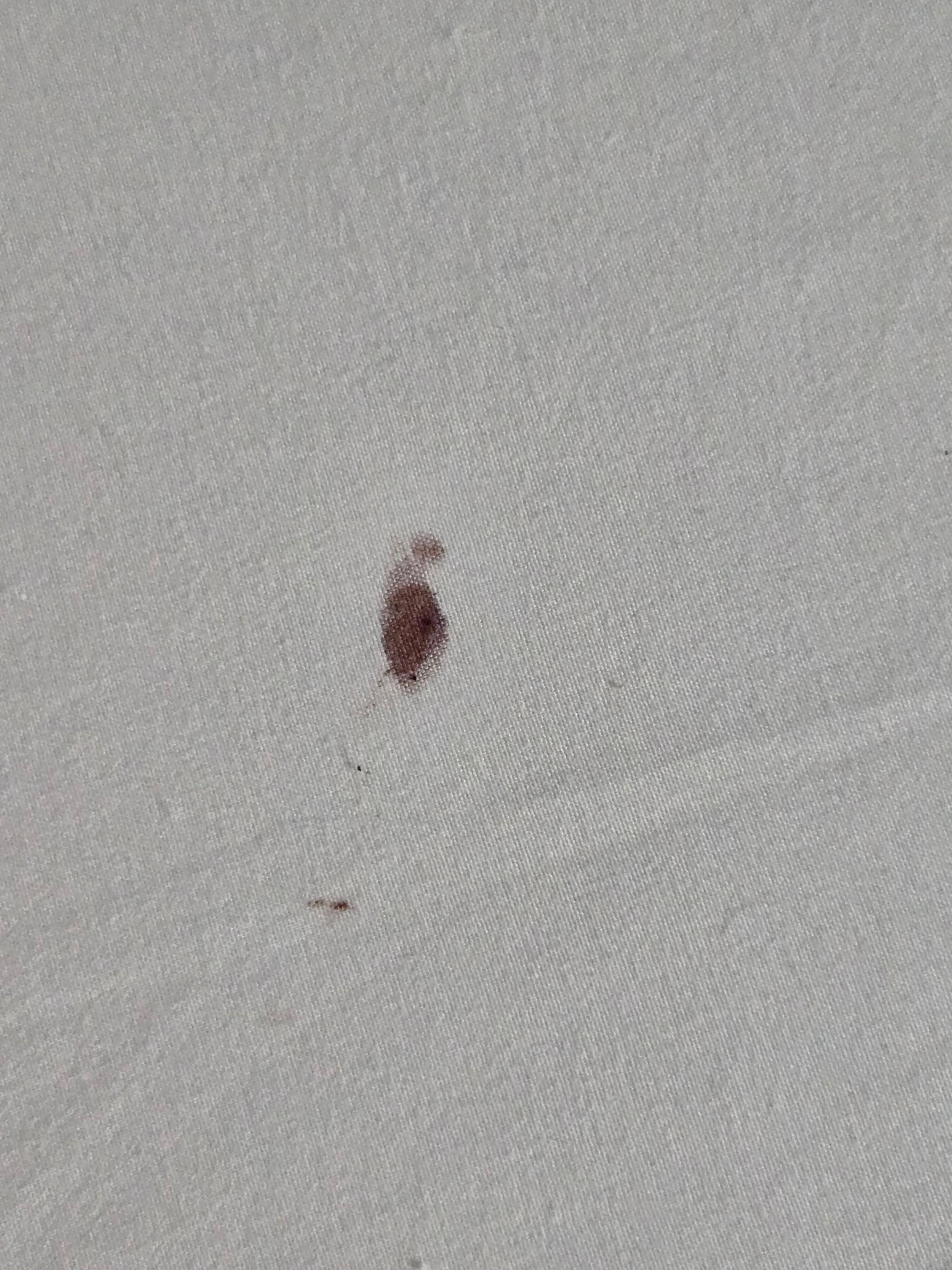 Blood stain on bottom sheet of the bed