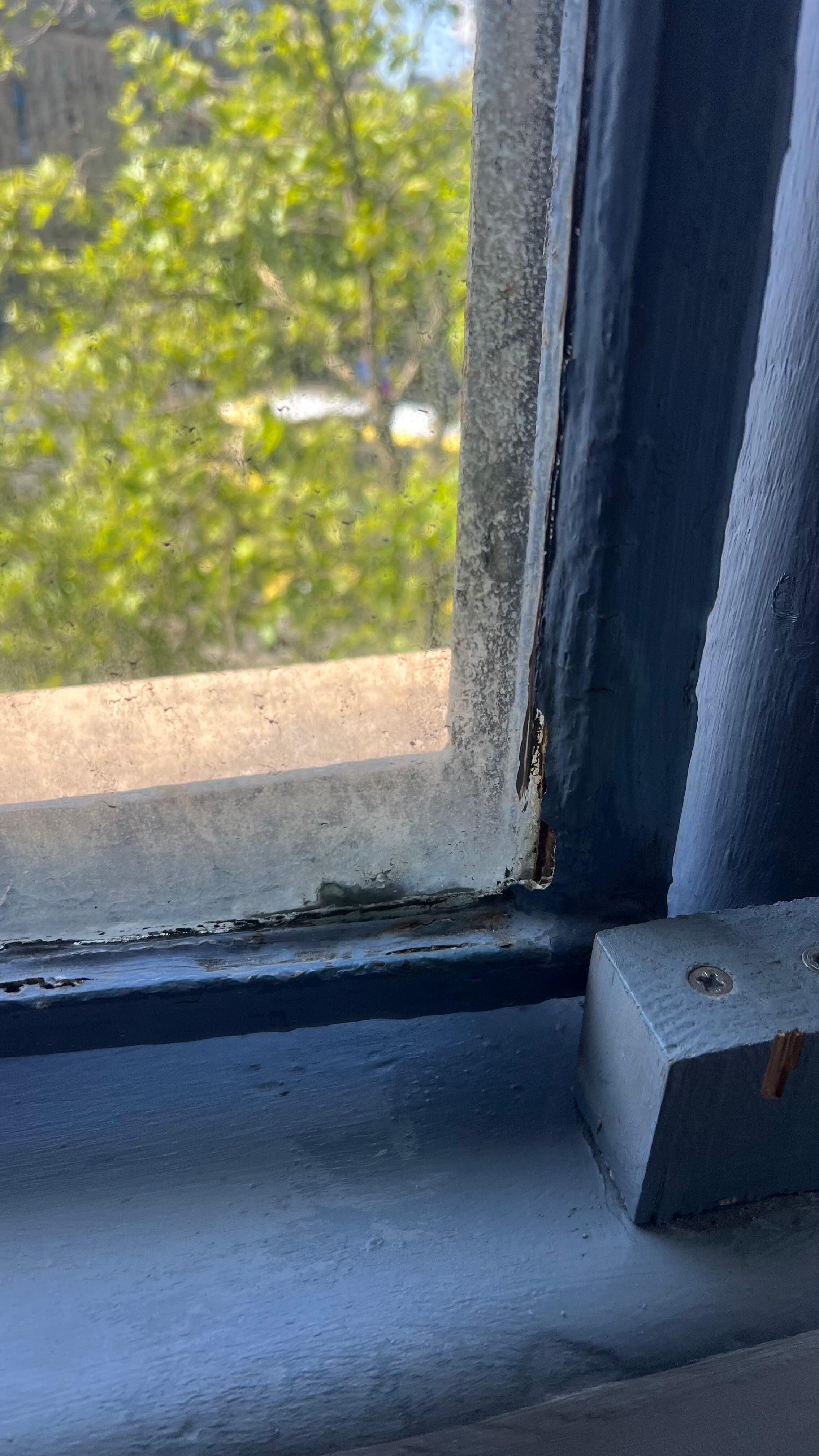 Horrible window