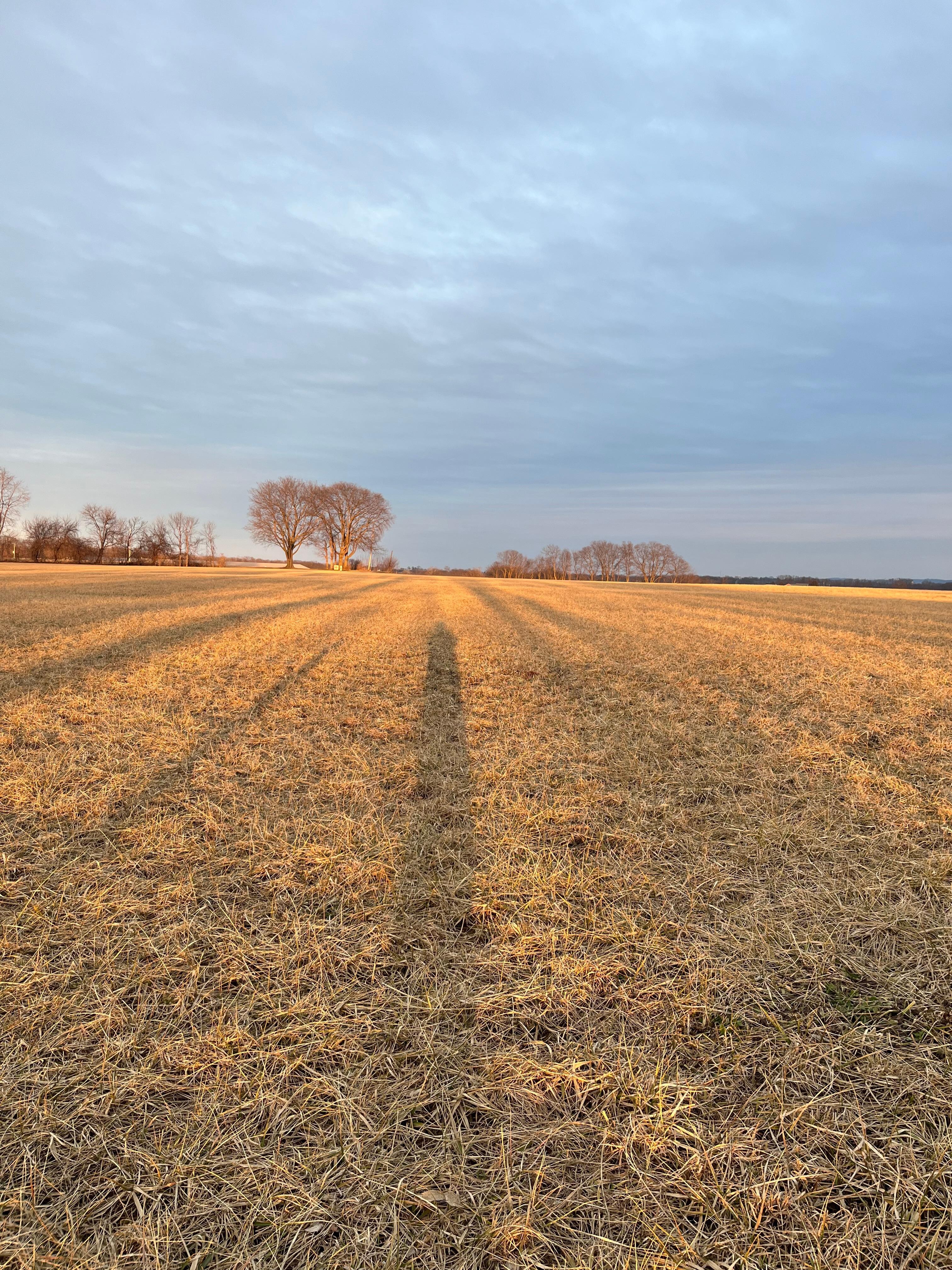 Field I walked around on their property