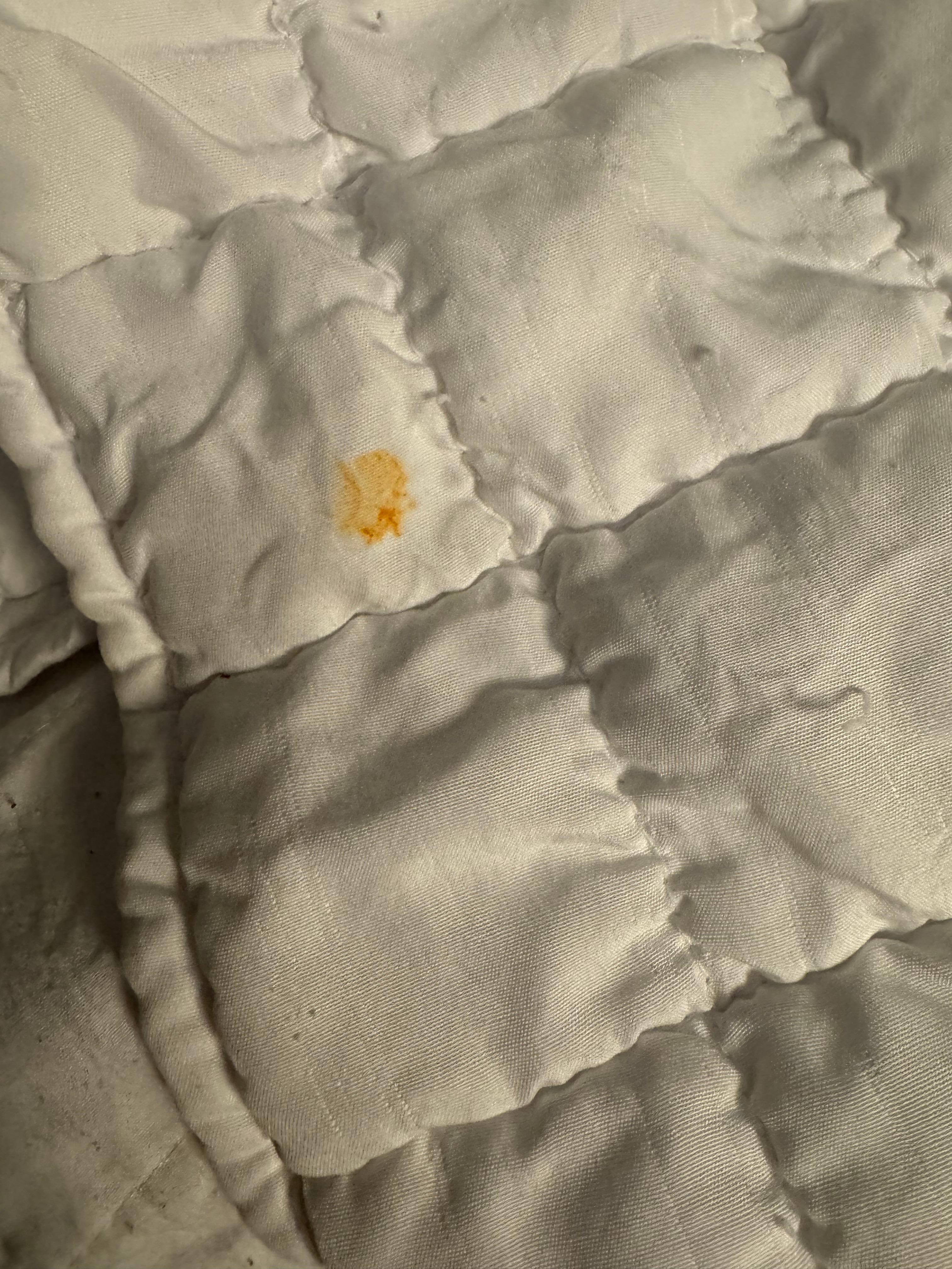 Stain on bedspread. 