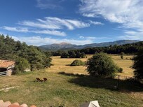 From the rooftop table