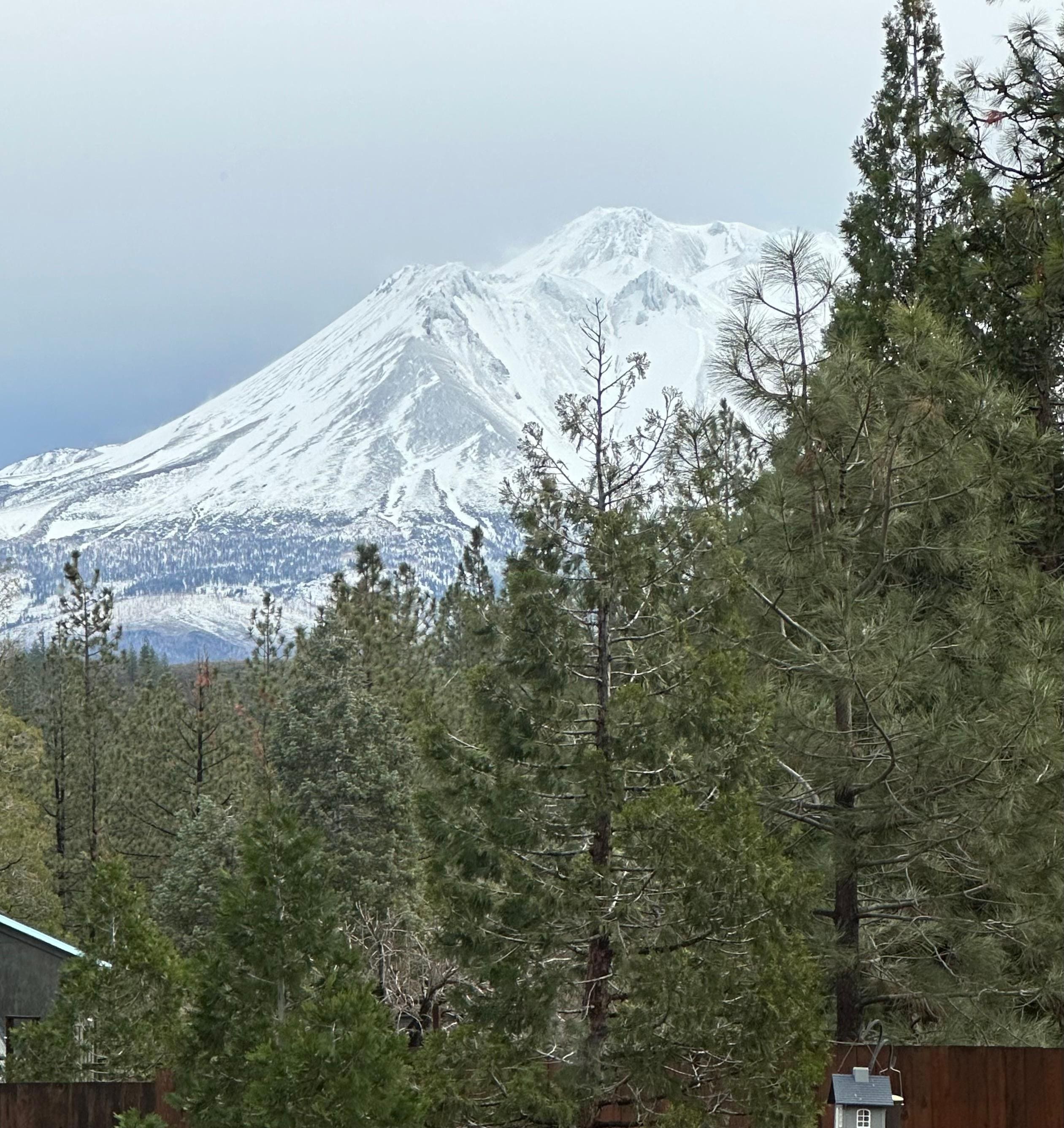 A lovely view from Mountain Breeze 