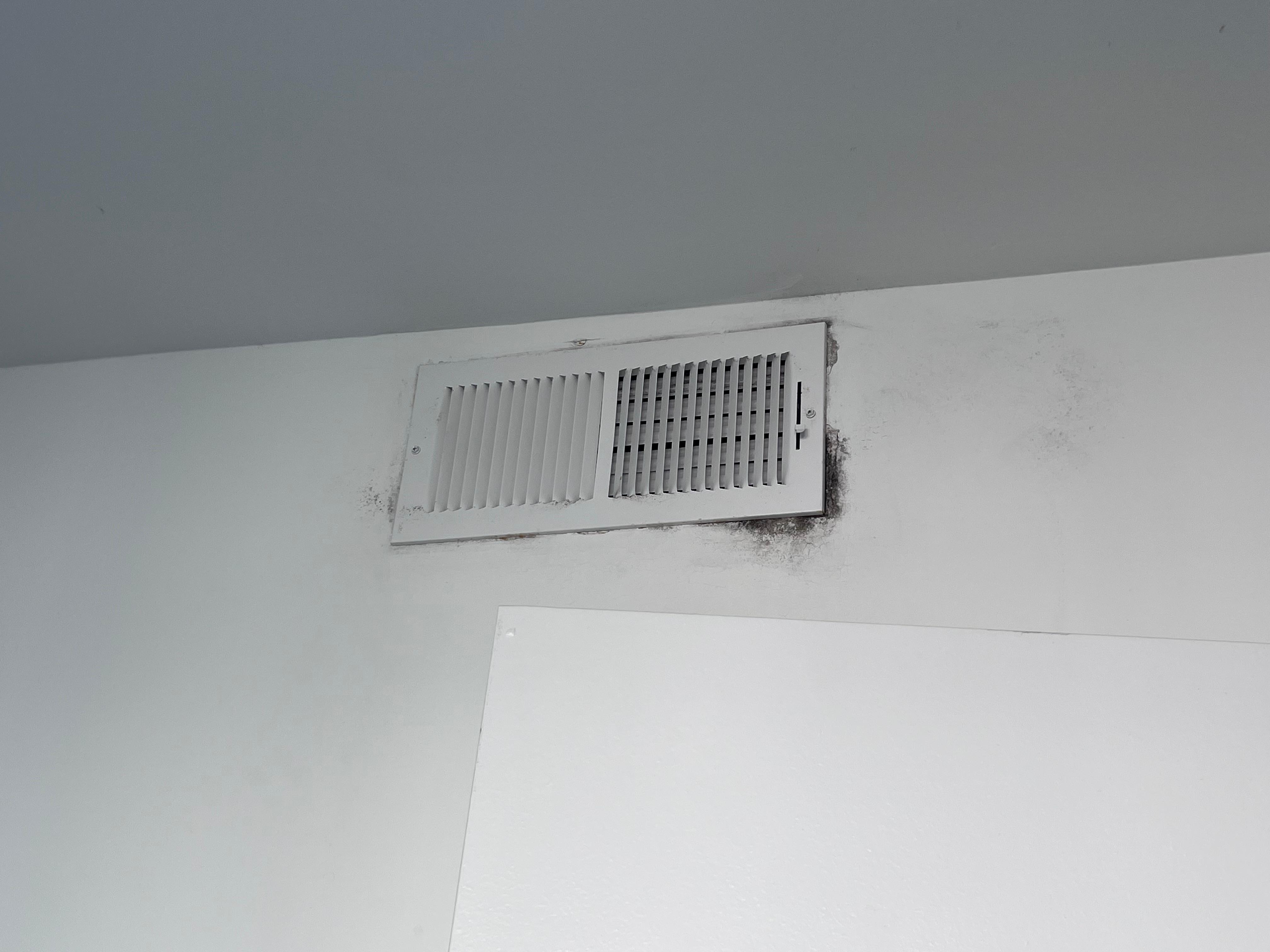 Mold