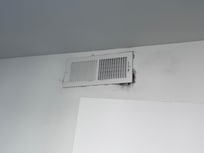 Mold