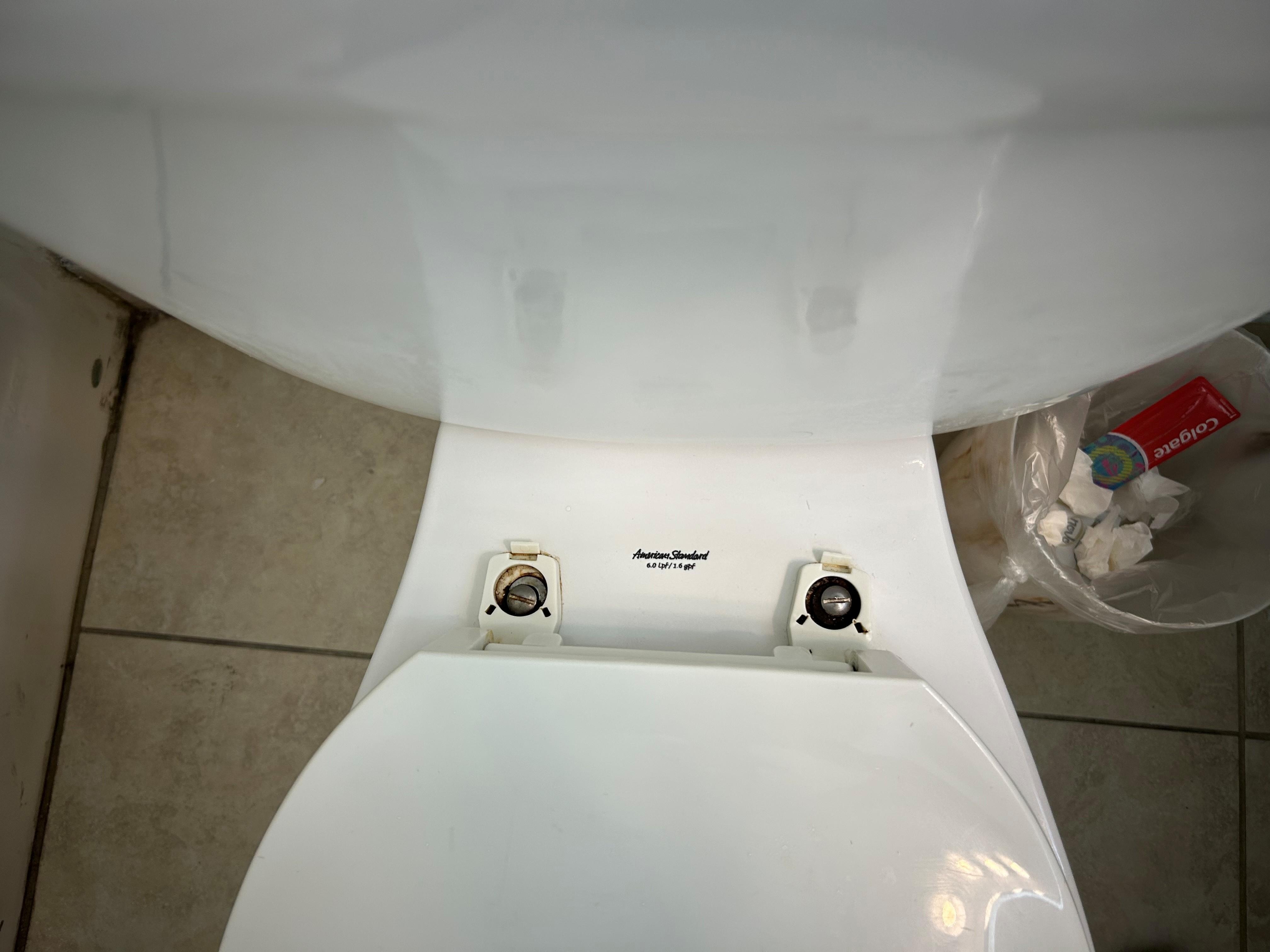 So nasty dirty old dried pee for so long