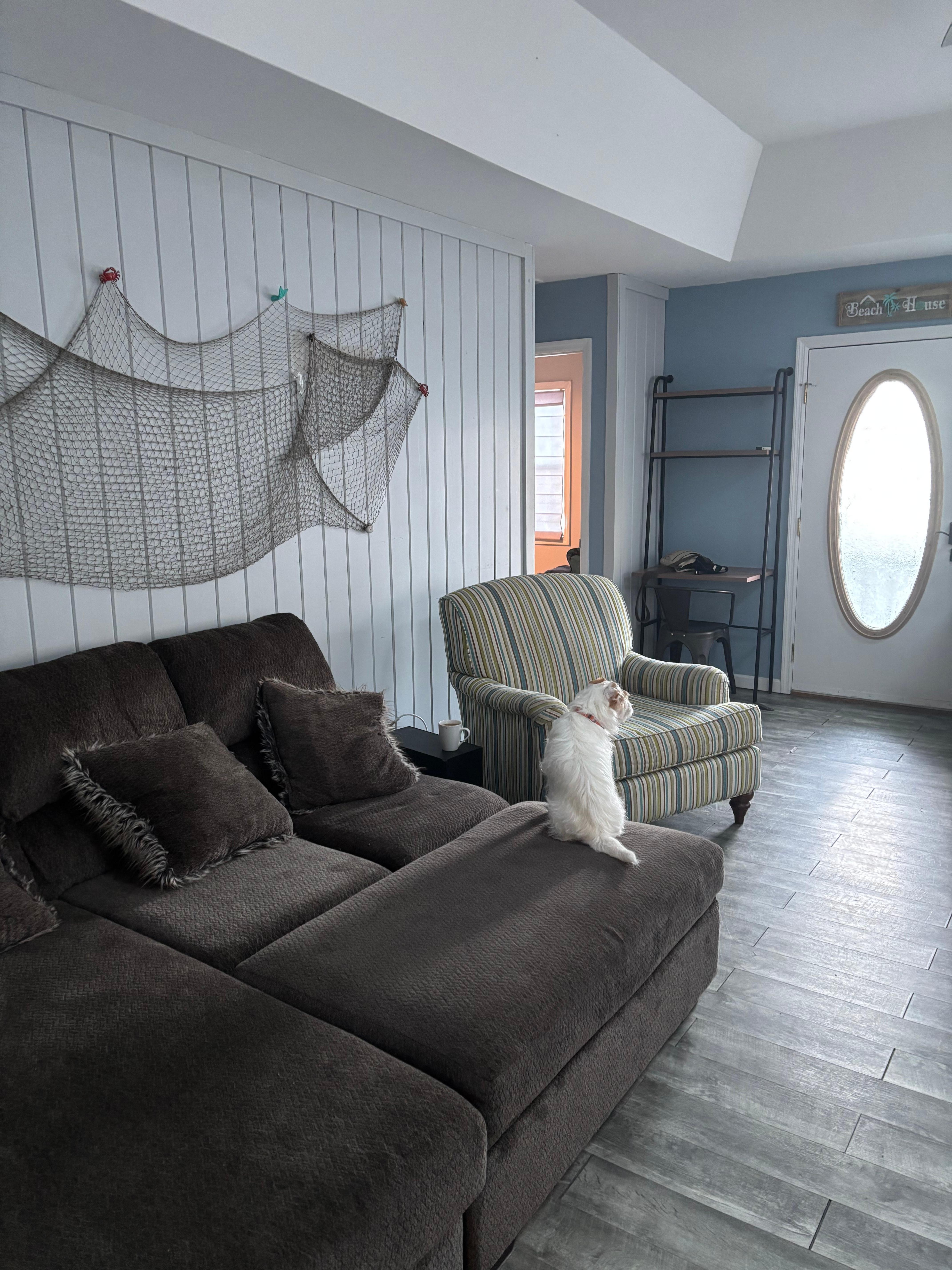 My dog Ozzy enjoyed himself as well.