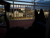 Enjoying the balcony sunrise.