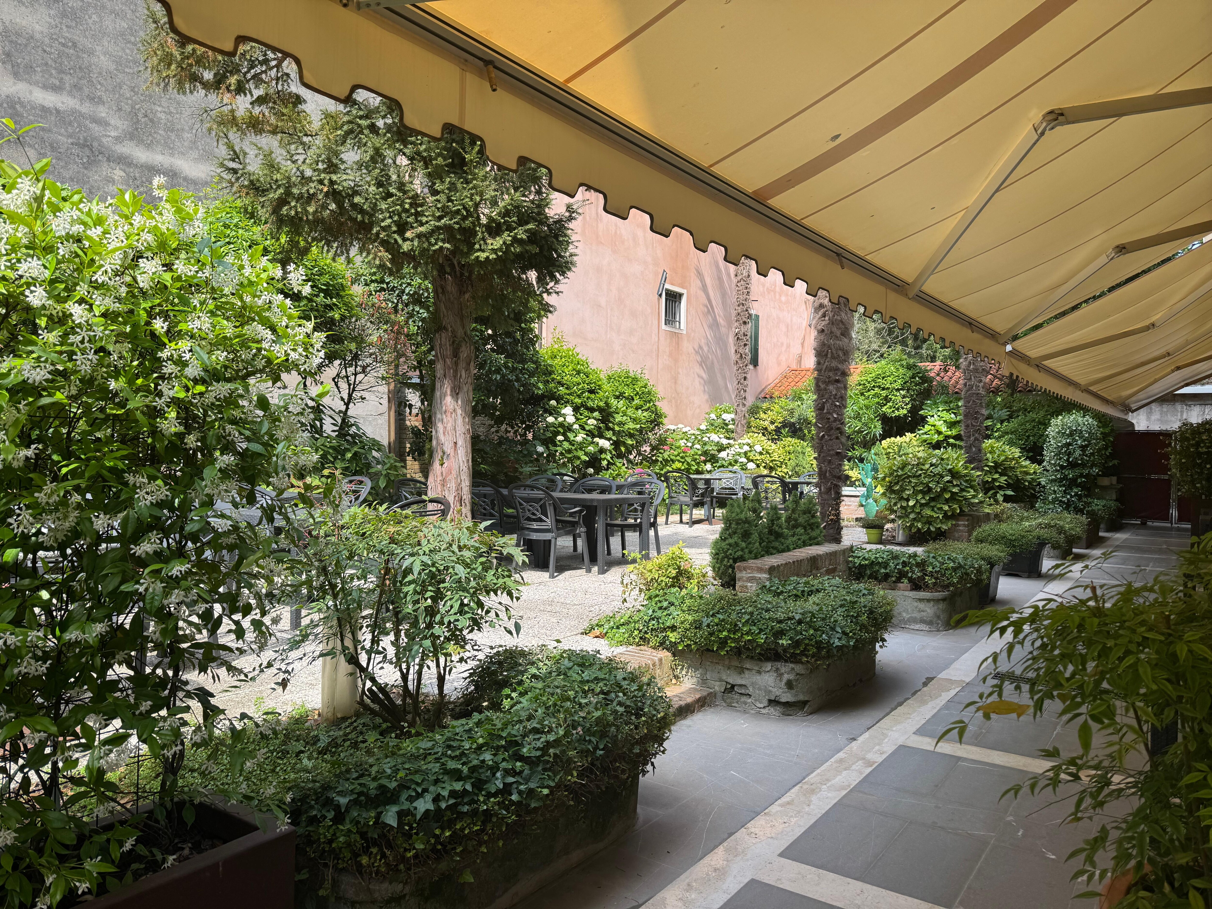 Garden area