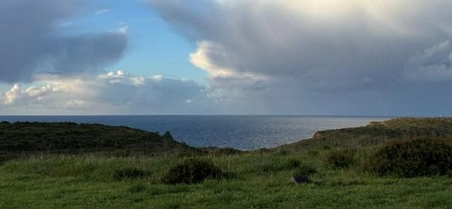 Afternoon - view from the tent