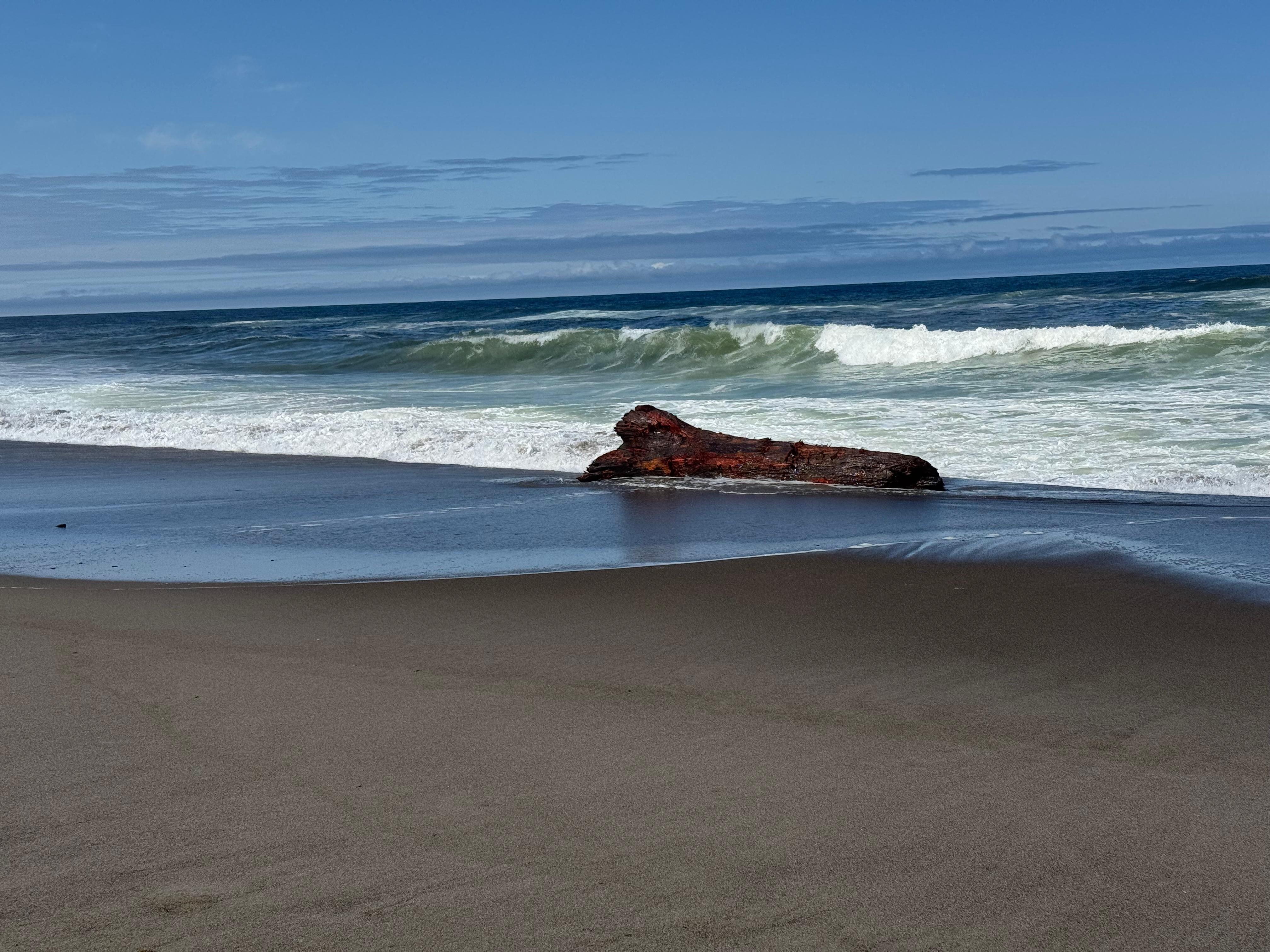 Walking along the beach. 