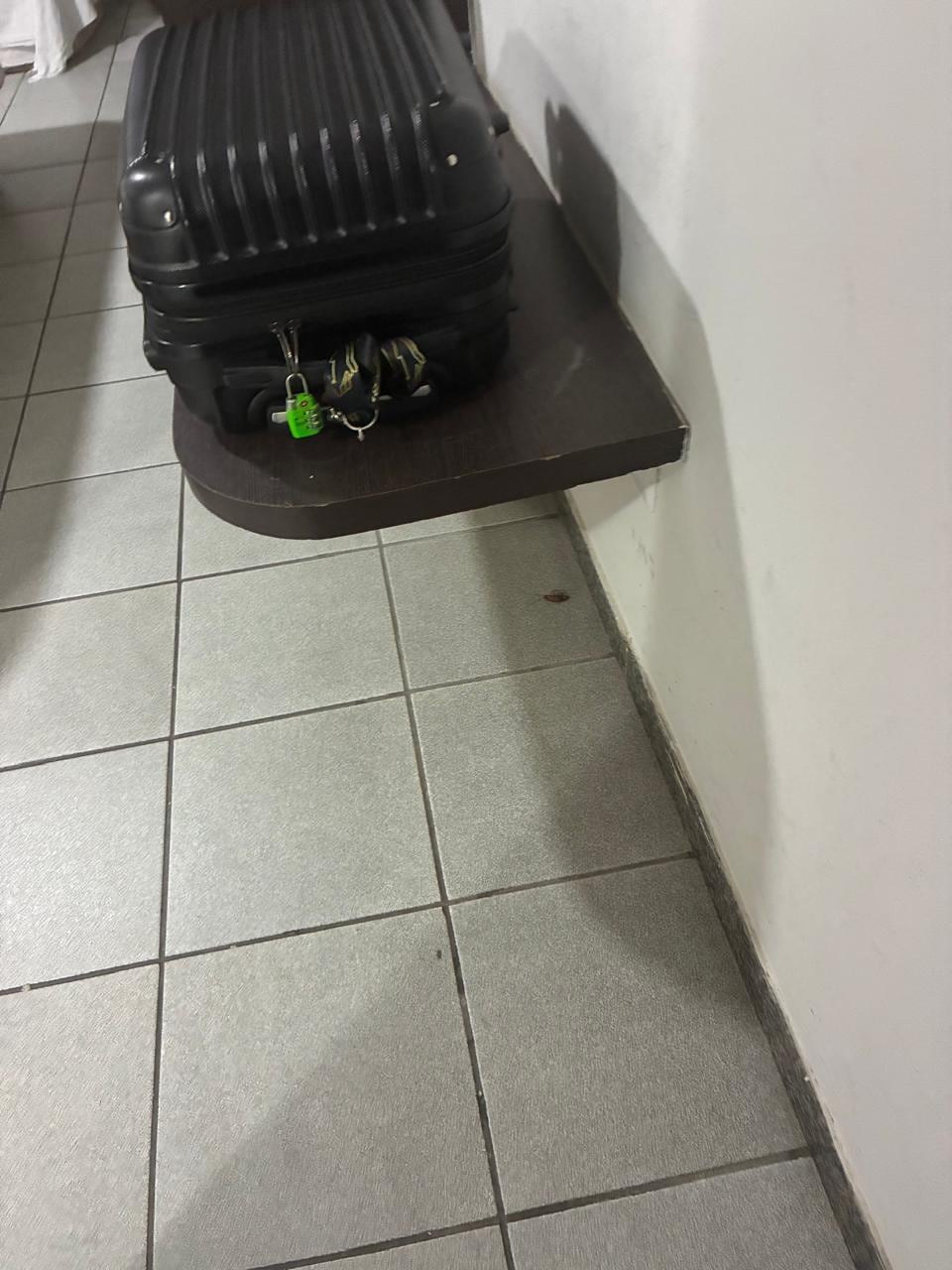 Barata que dormiu comigo!!!