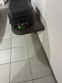 Barata que dormiu comigo!!!