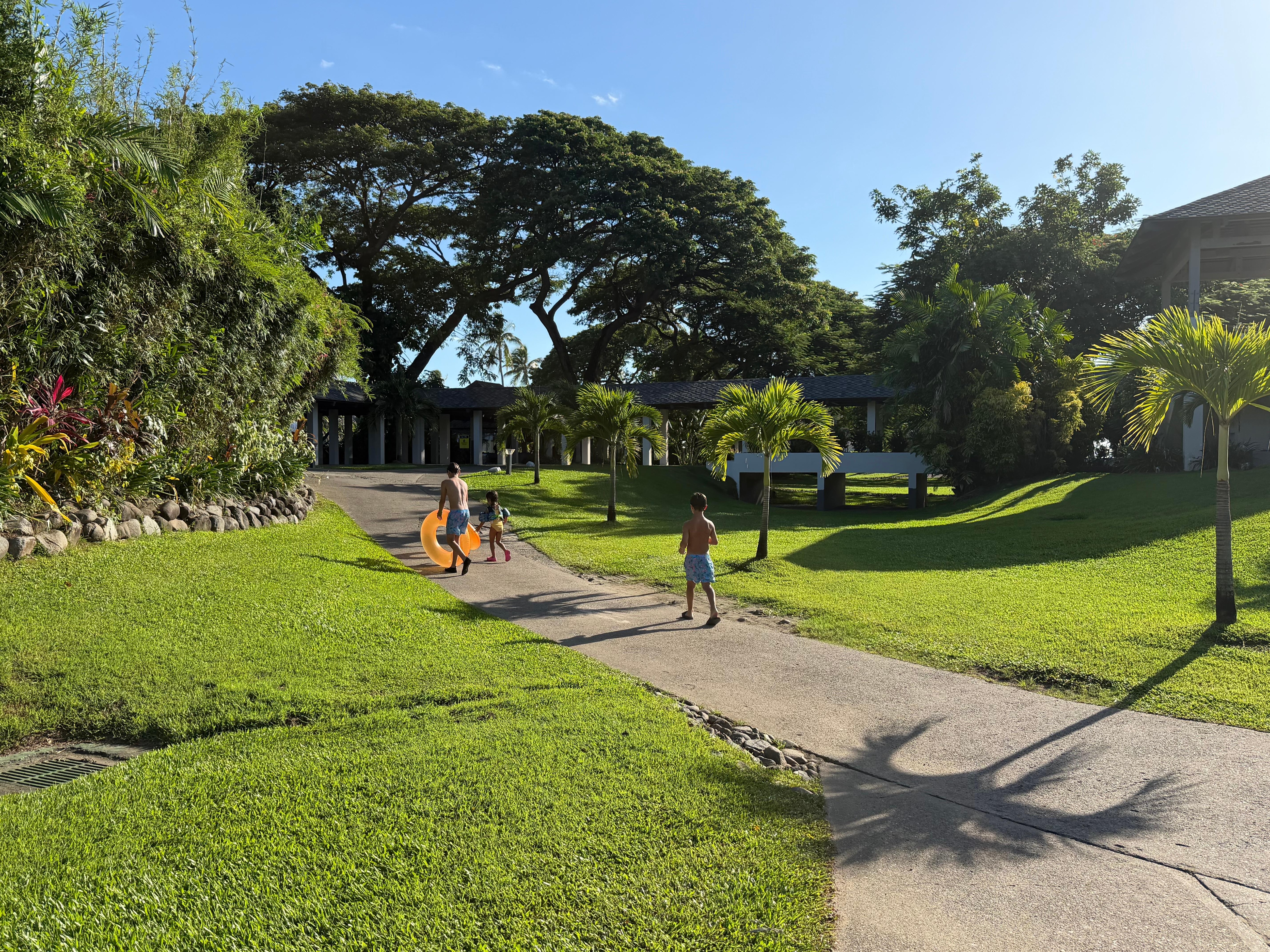 Some of the amazing grounds