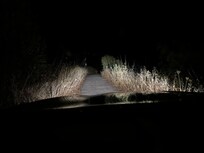 Zufahrt bei Nacht. Kaum Platz zum durchfahren.