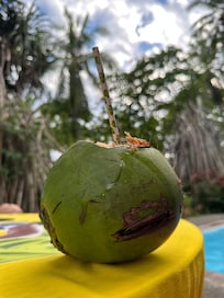 Fresh coconut!