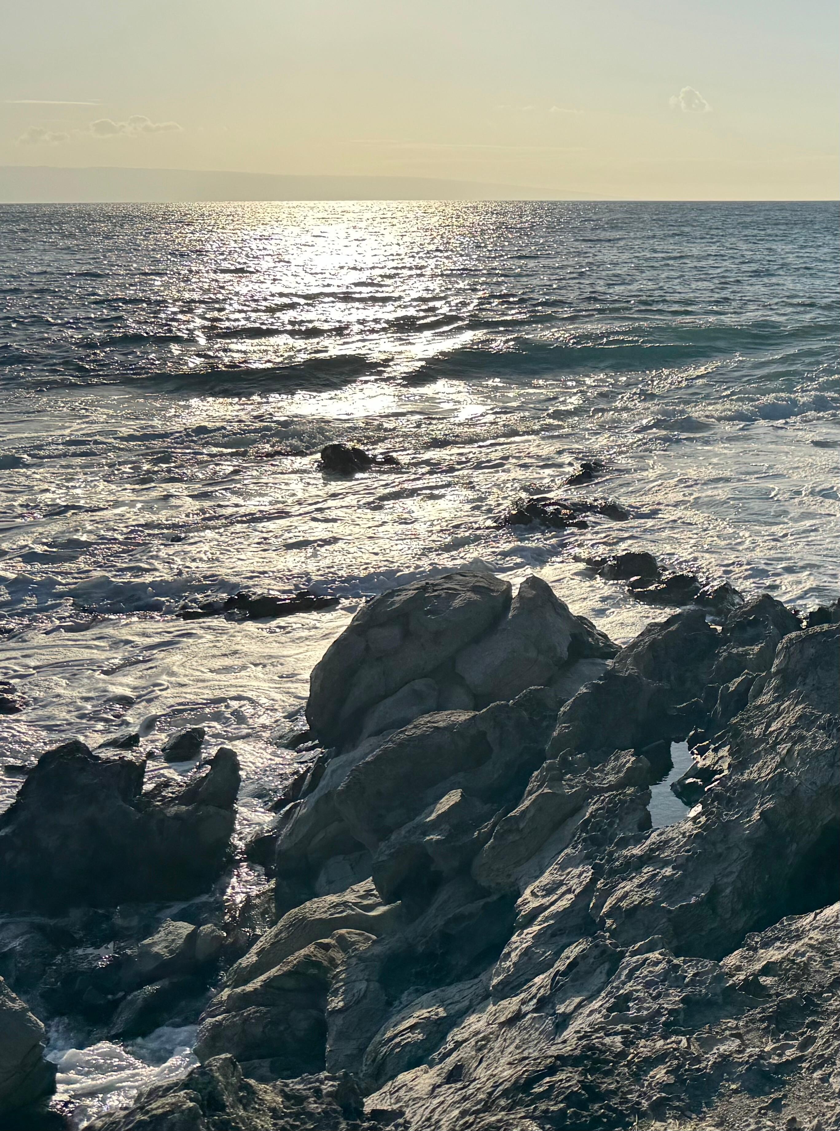  Views from in front of the lanai.