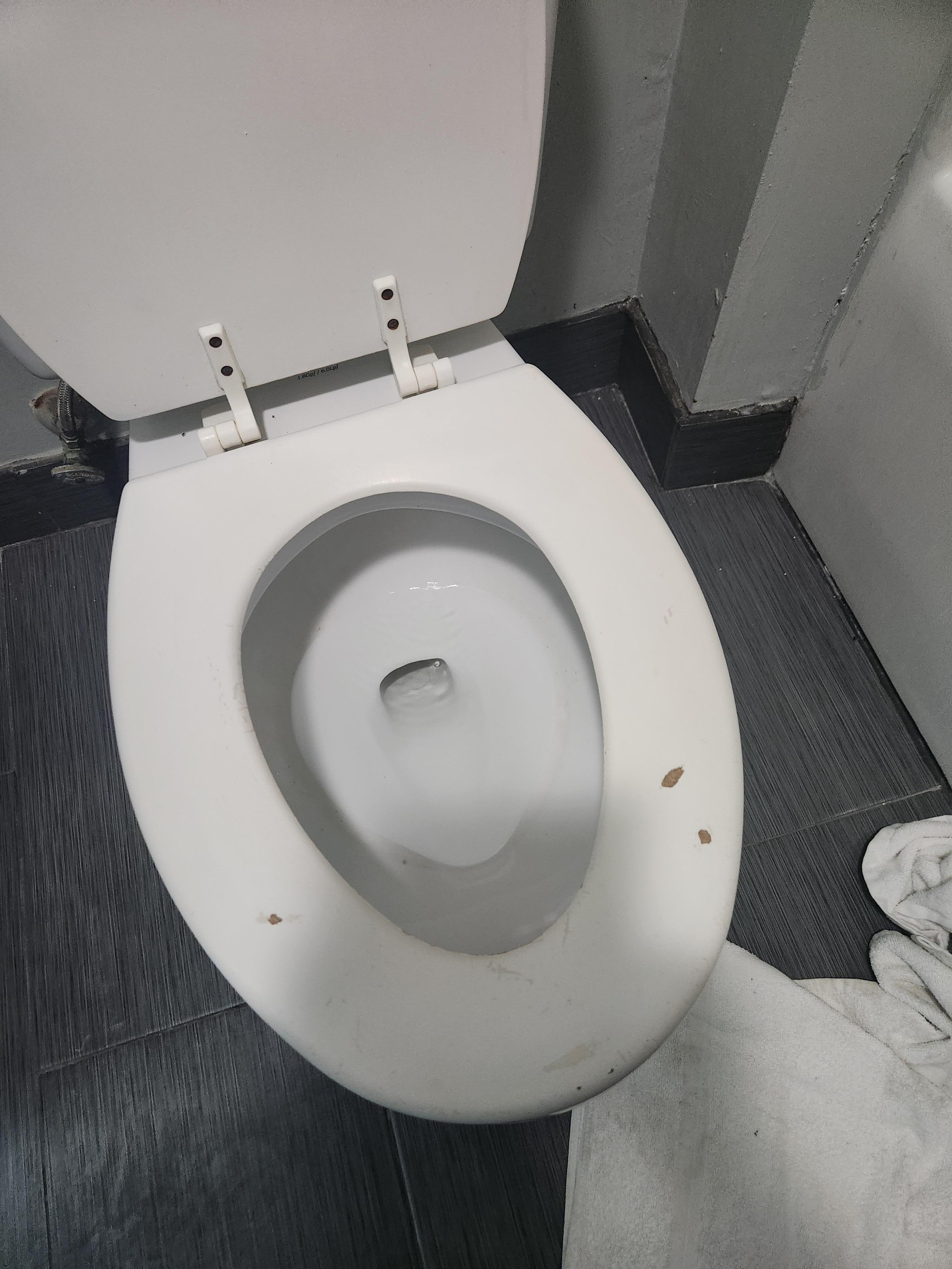 Toilet seat