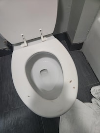 Toilet seat