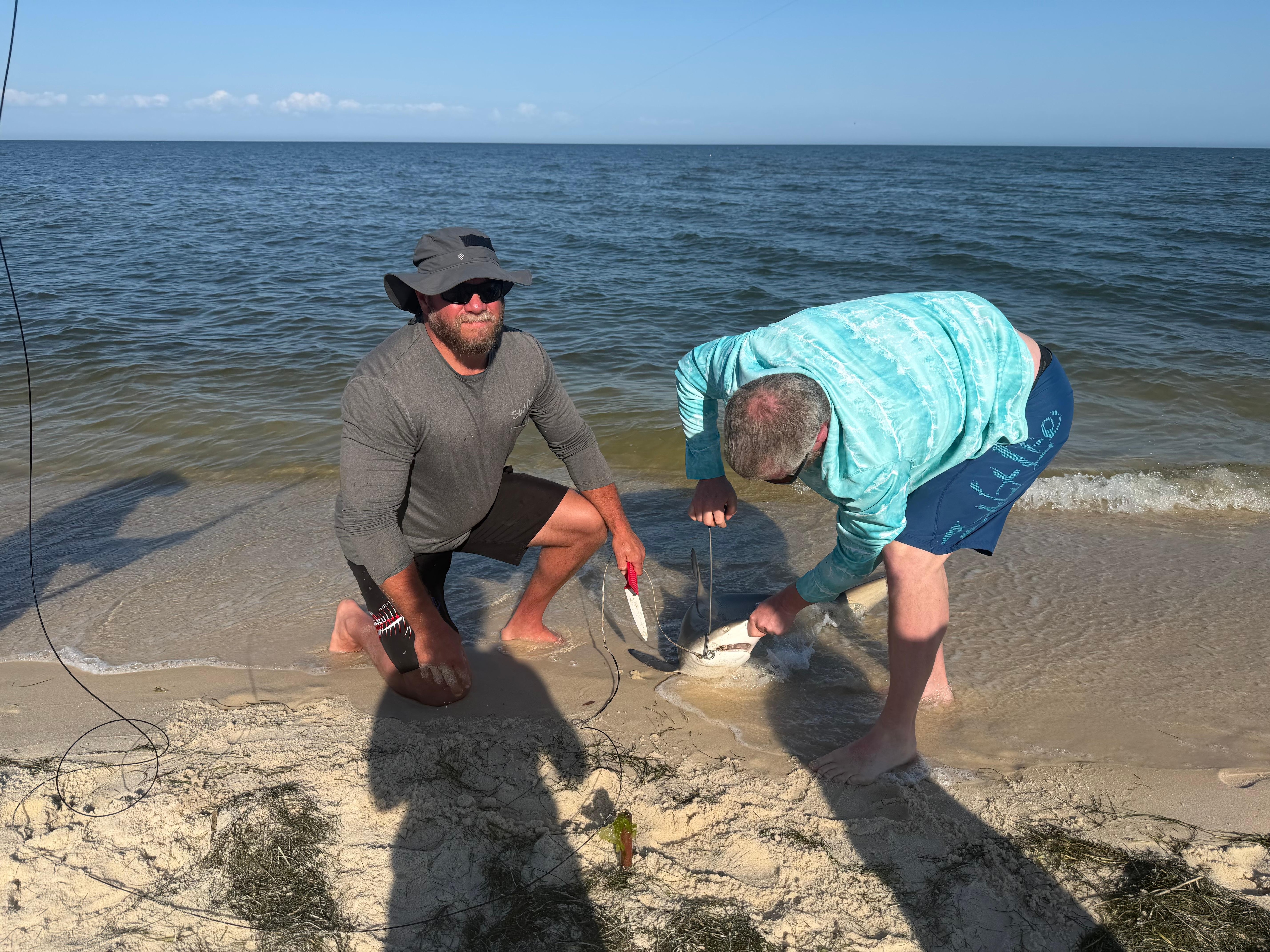 Catch, tagged, 
Released 