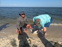 Catch, tagged,
Released