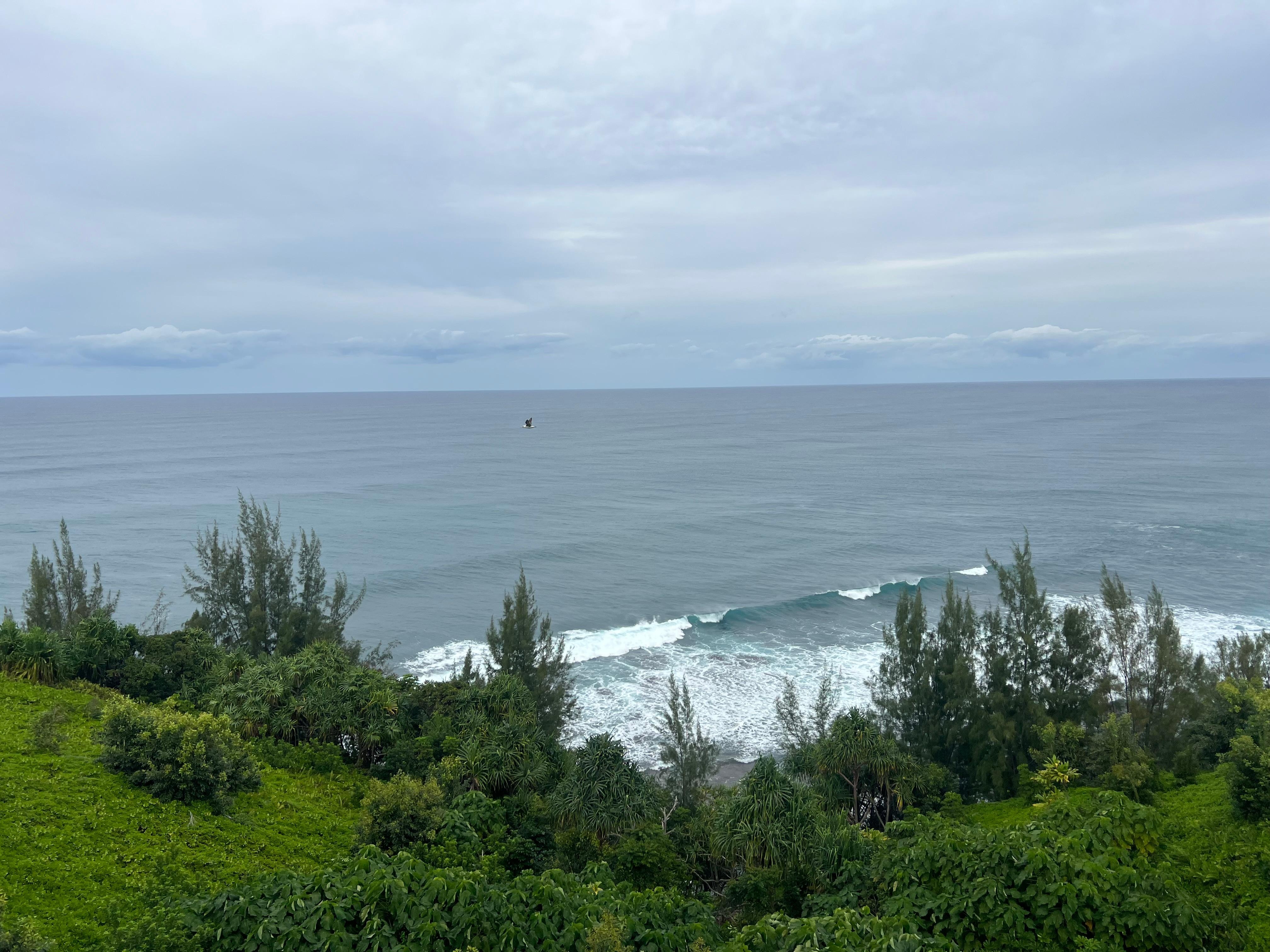 View from balcony on a spindrift day.