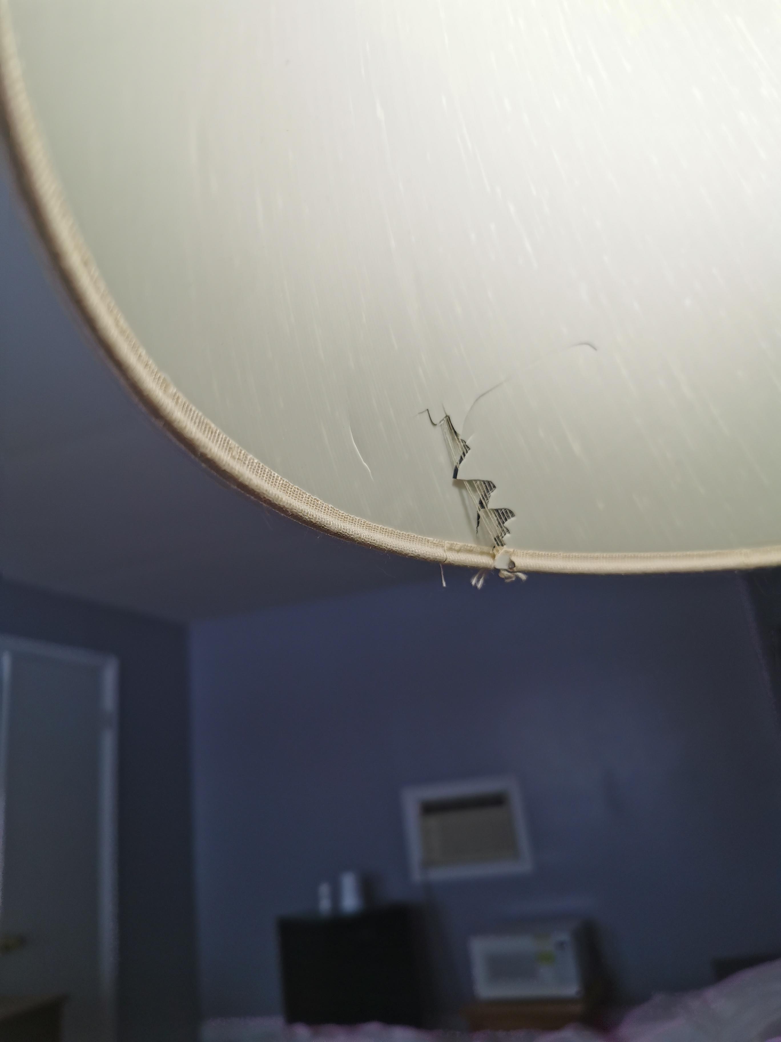 Torn lampshade