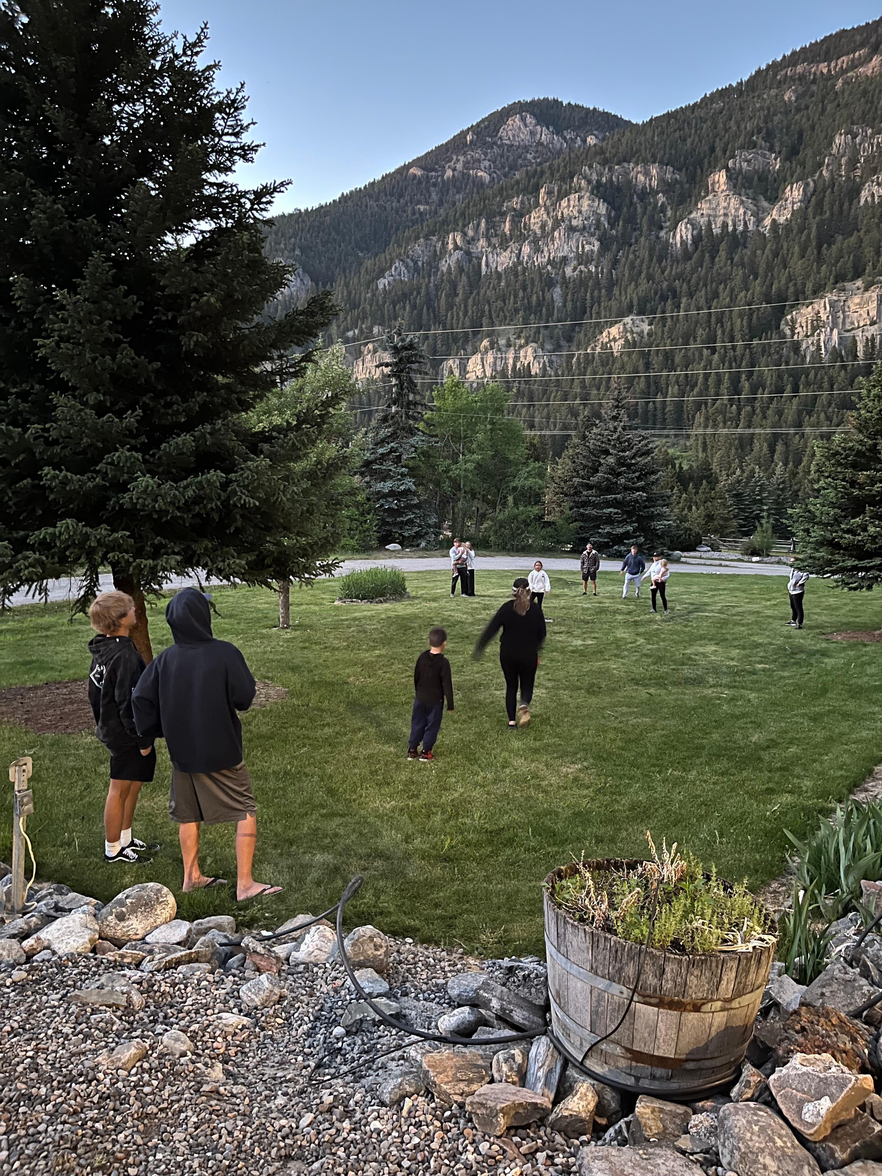 Kick ball in the yard