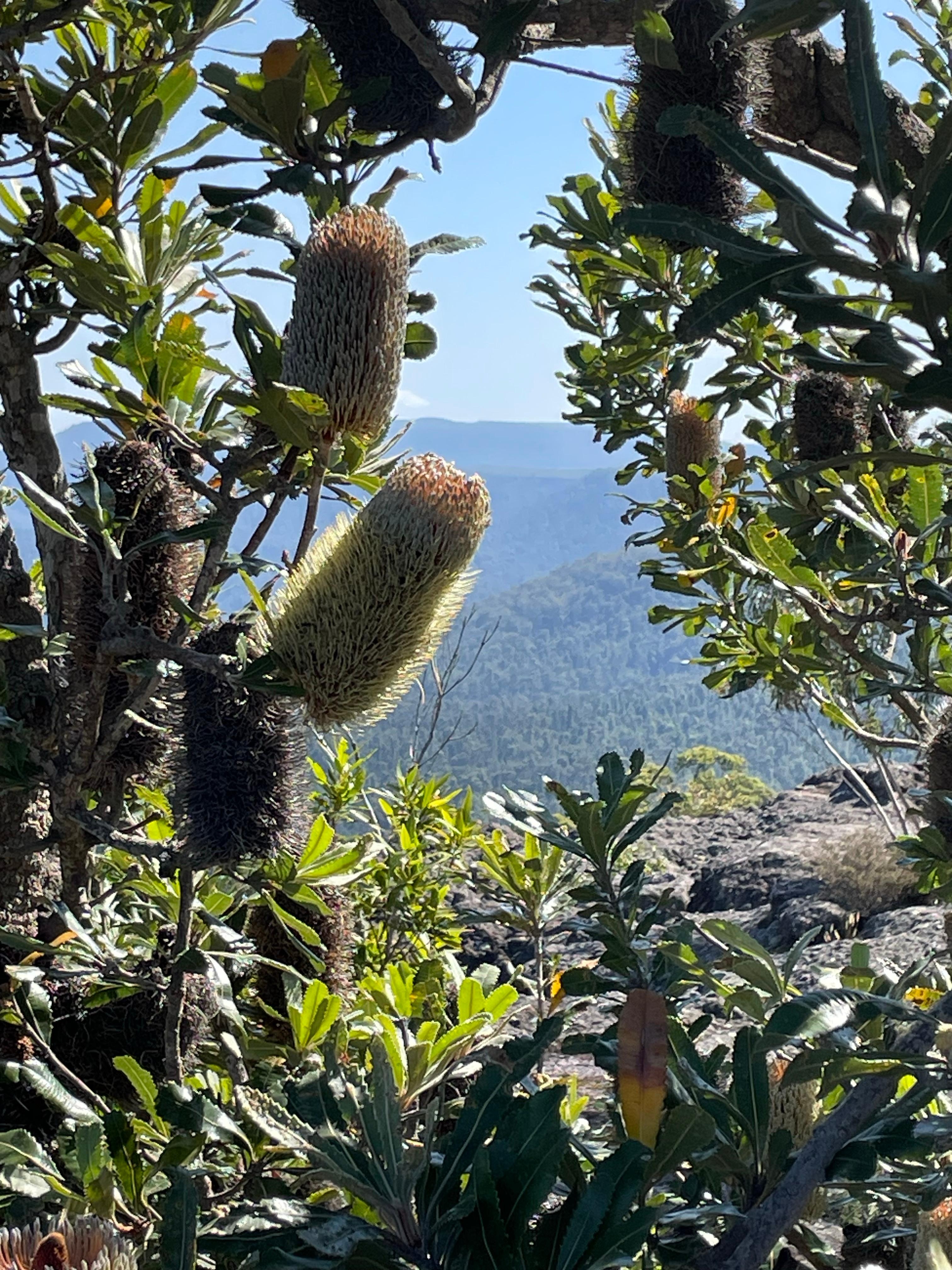We needed a fire on the first night and a fan on the second (both provided)