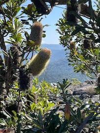 We needed a fire on the first night and a fan on the second (both provided)