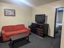 Living room with pull-out couch