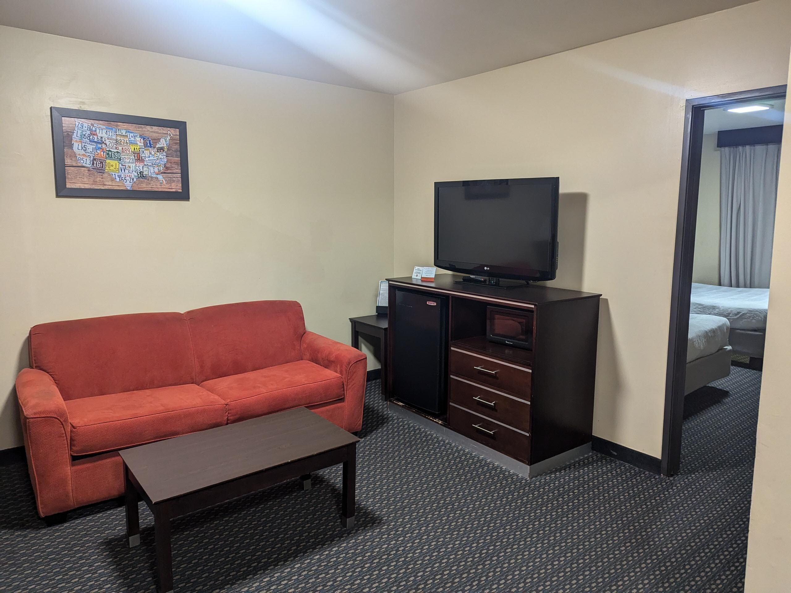 Living room with pull-out couch