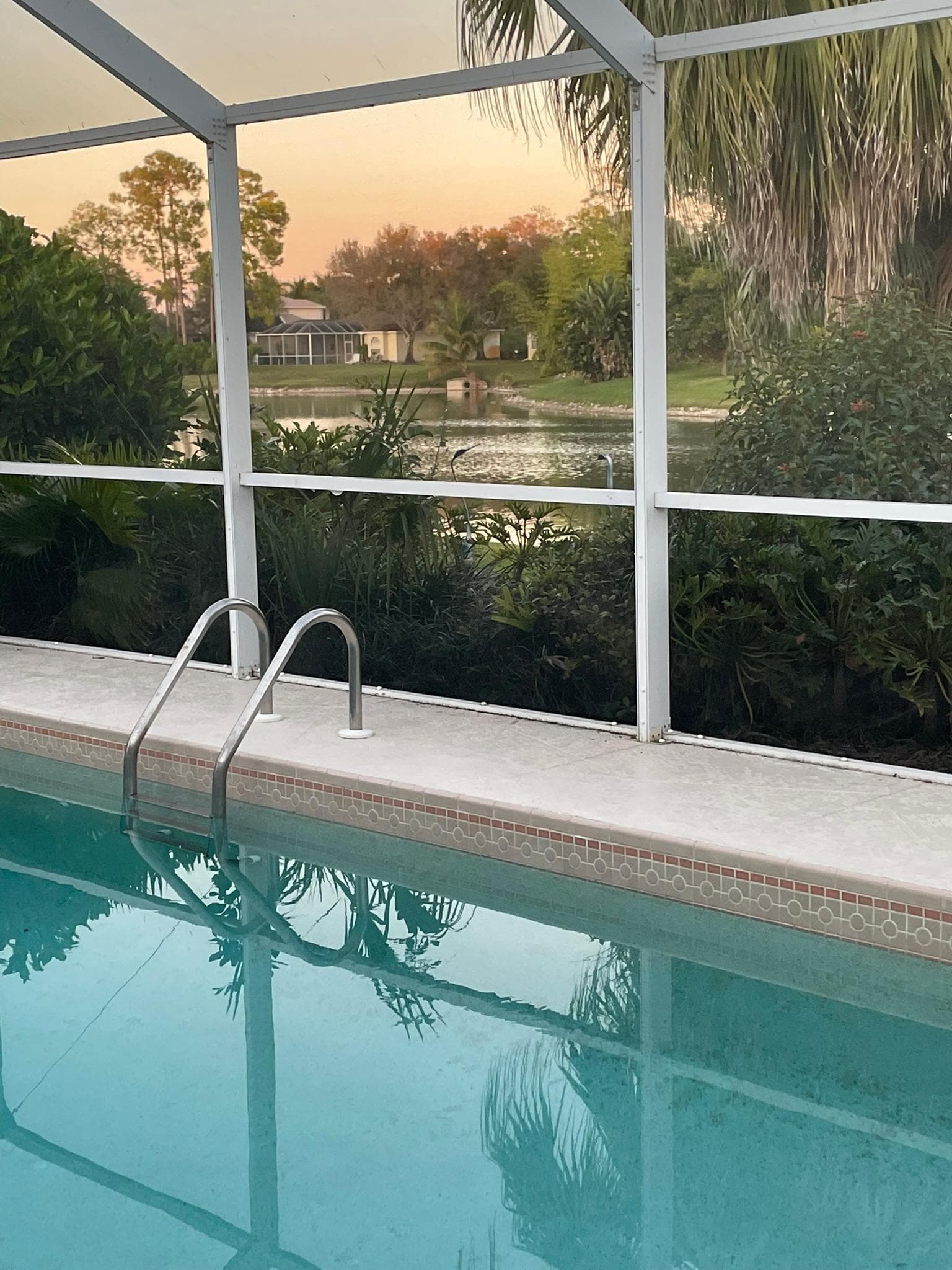 View of lake with so many different birds! 