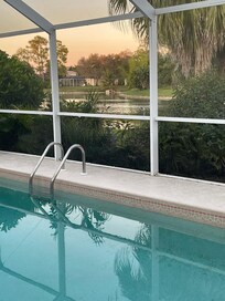 View of lake with so many different birds!