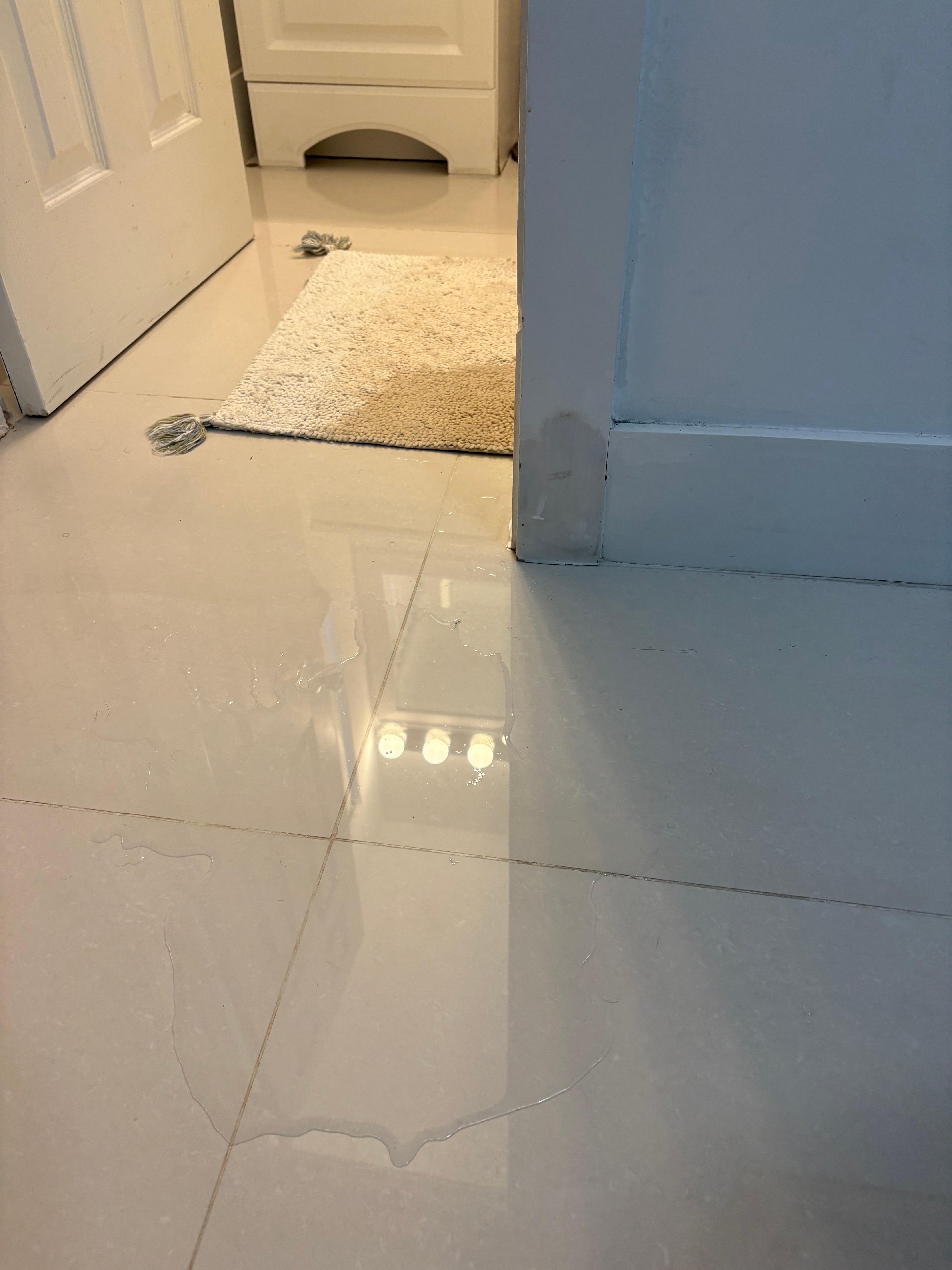 The master bathroom water issue 