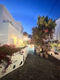 Hiroko’s garden at night