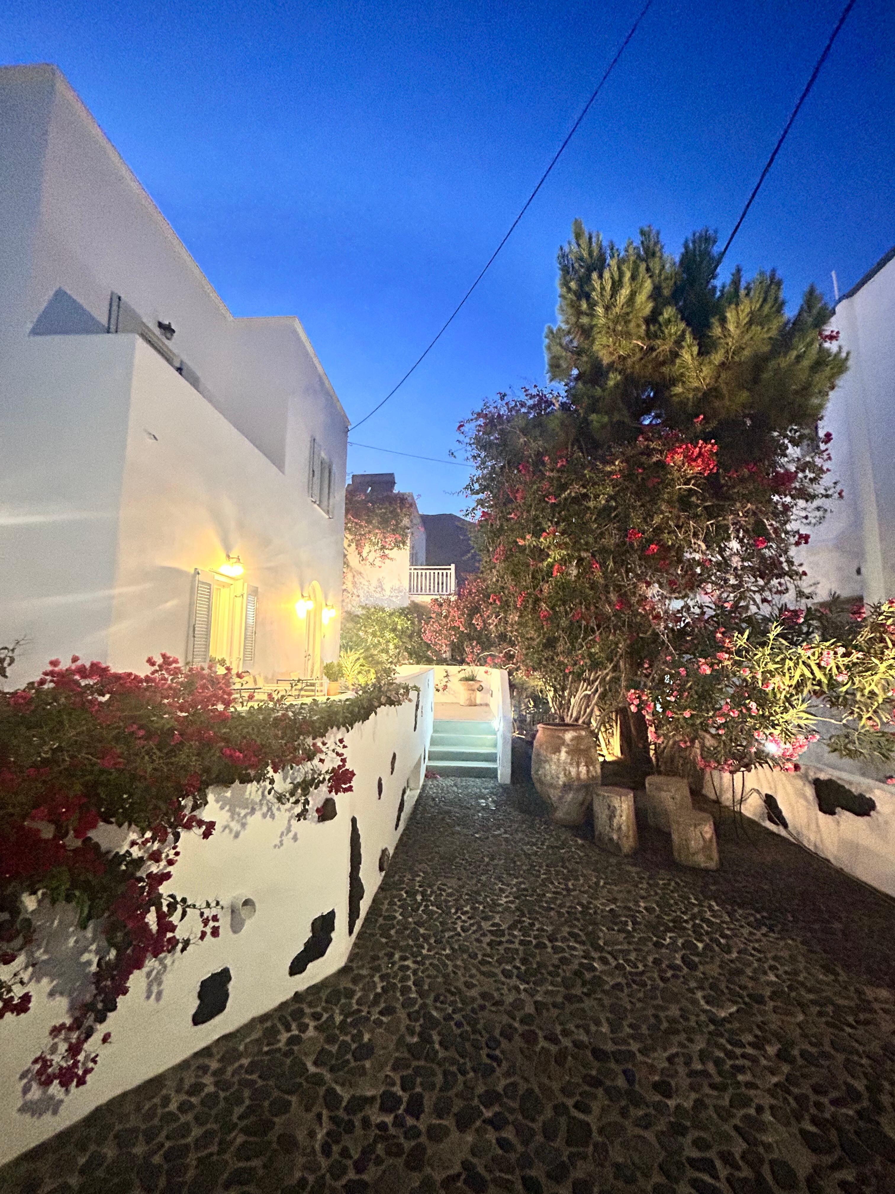 Hiroko’s garden at night 