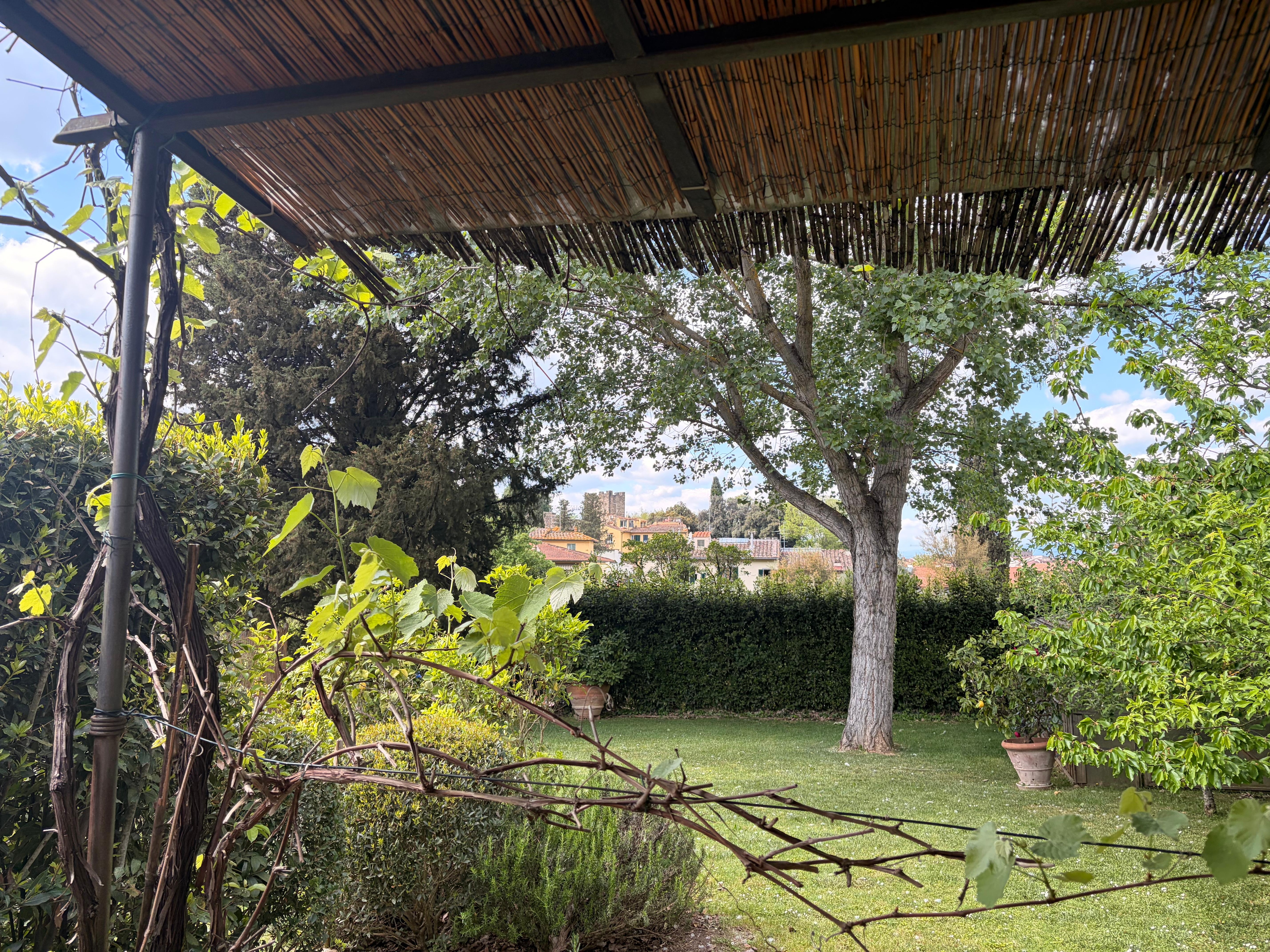 view from the front door!