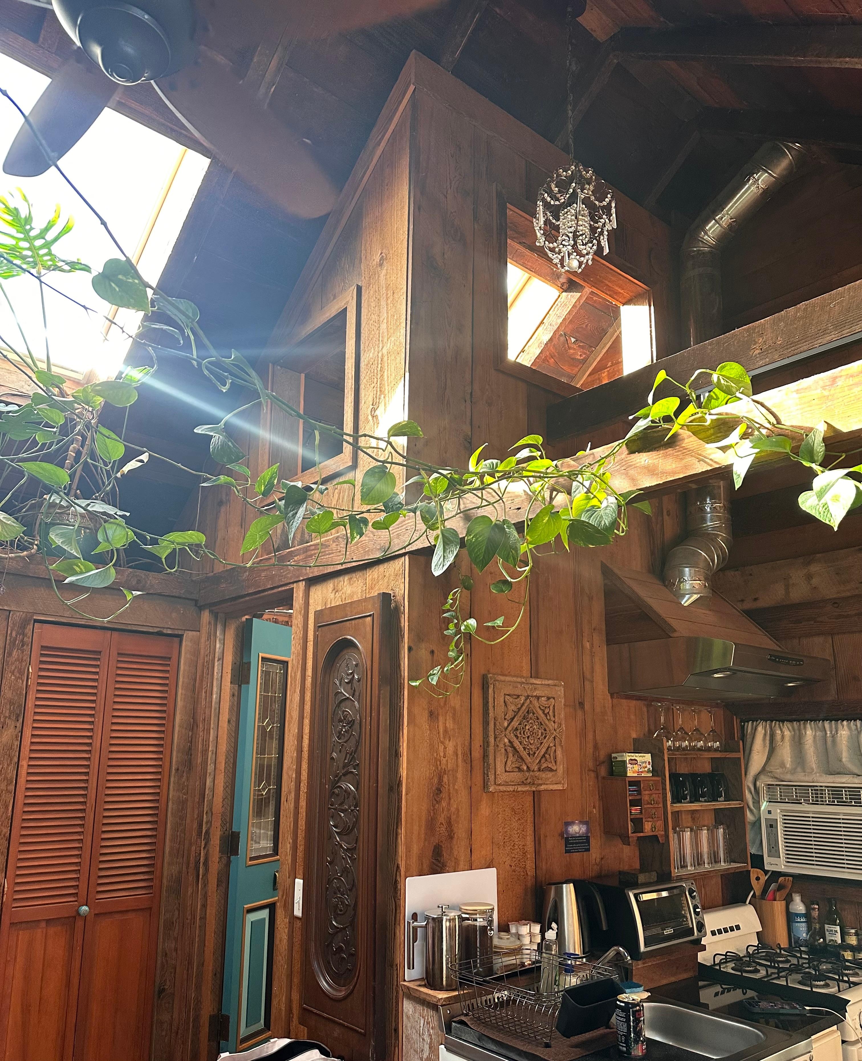 Arrival at the Magic Barn