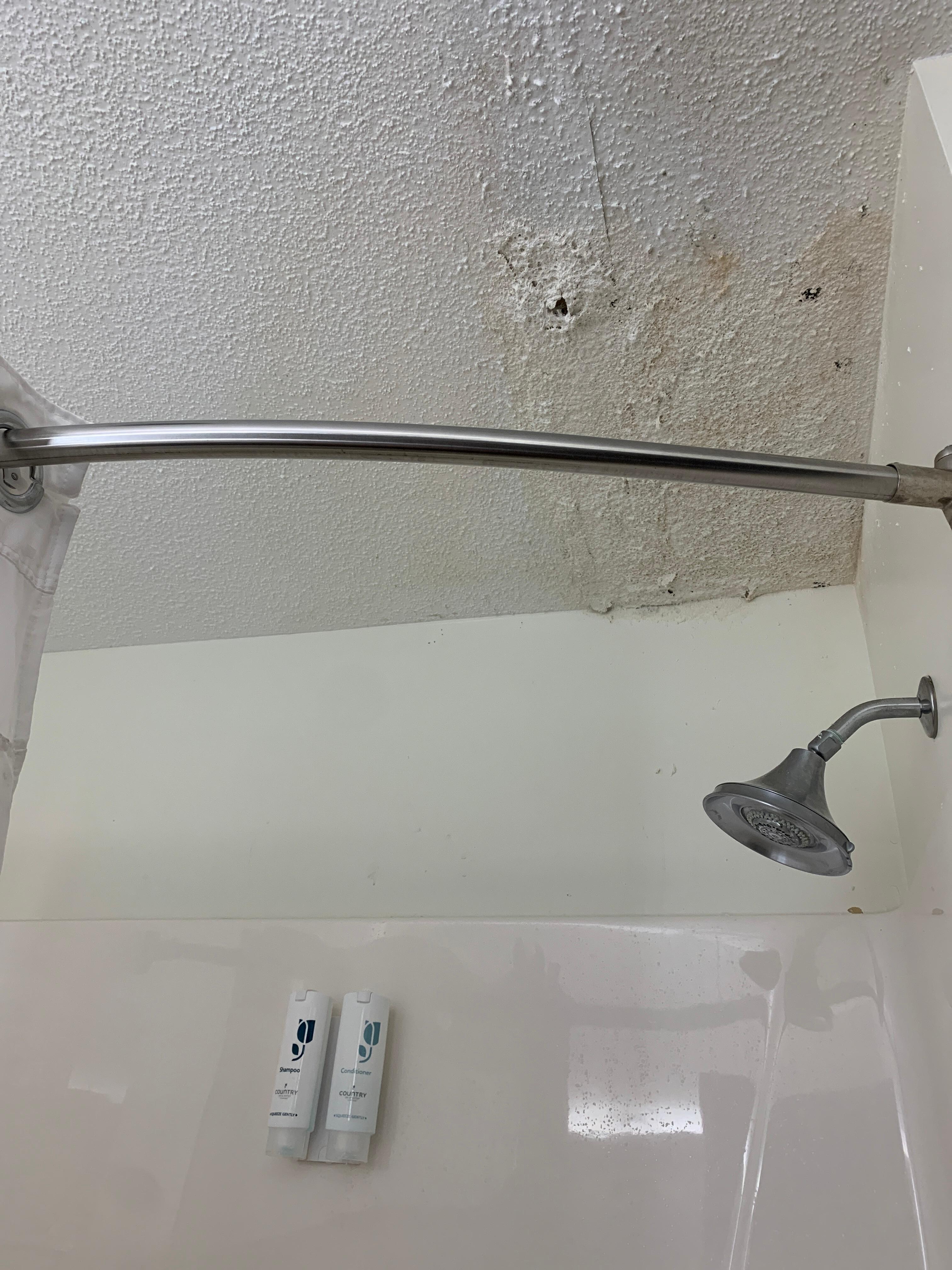 Moldy, rusty ceiling in bathroom. 