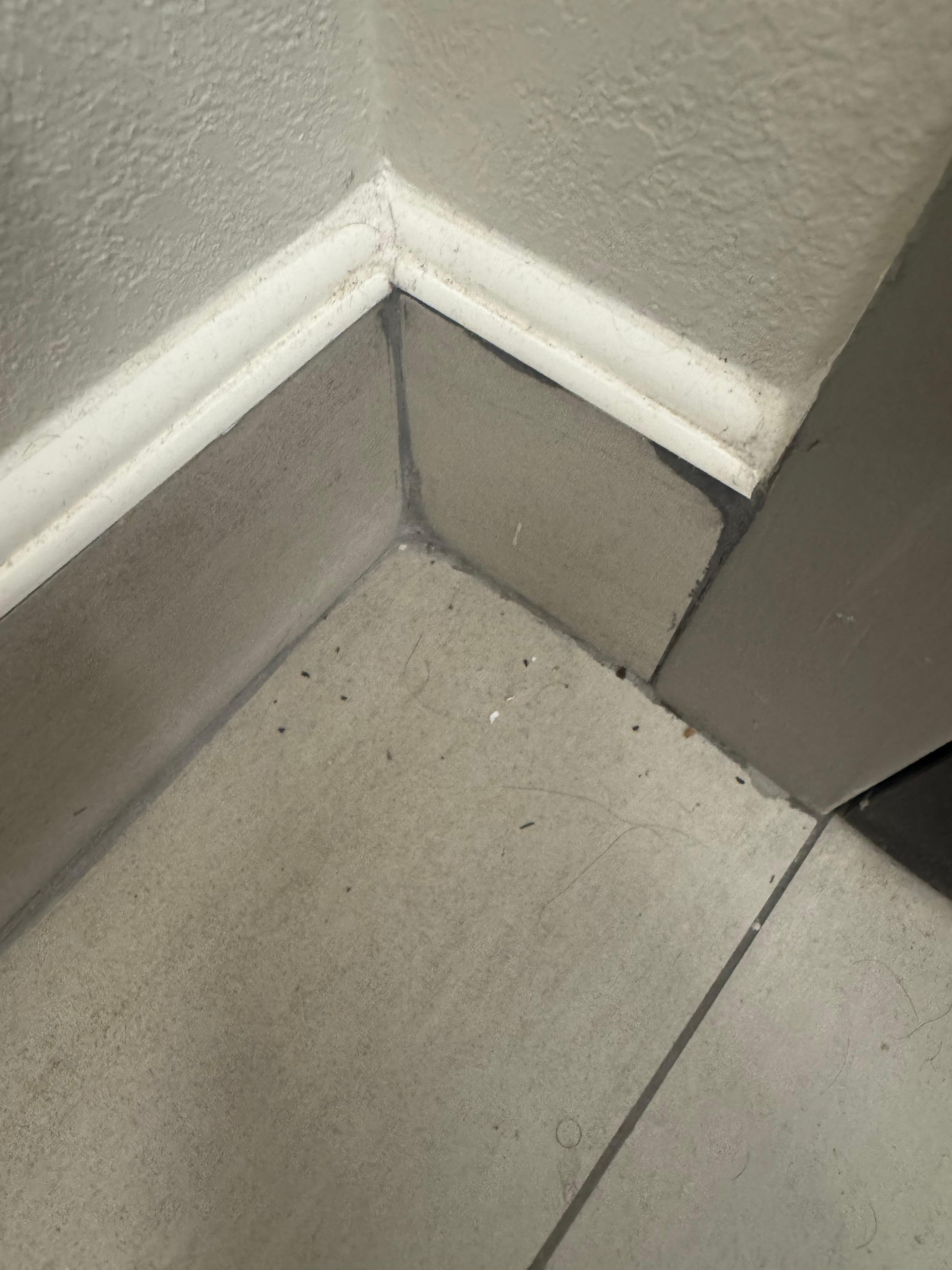 Floor not swept in awhile