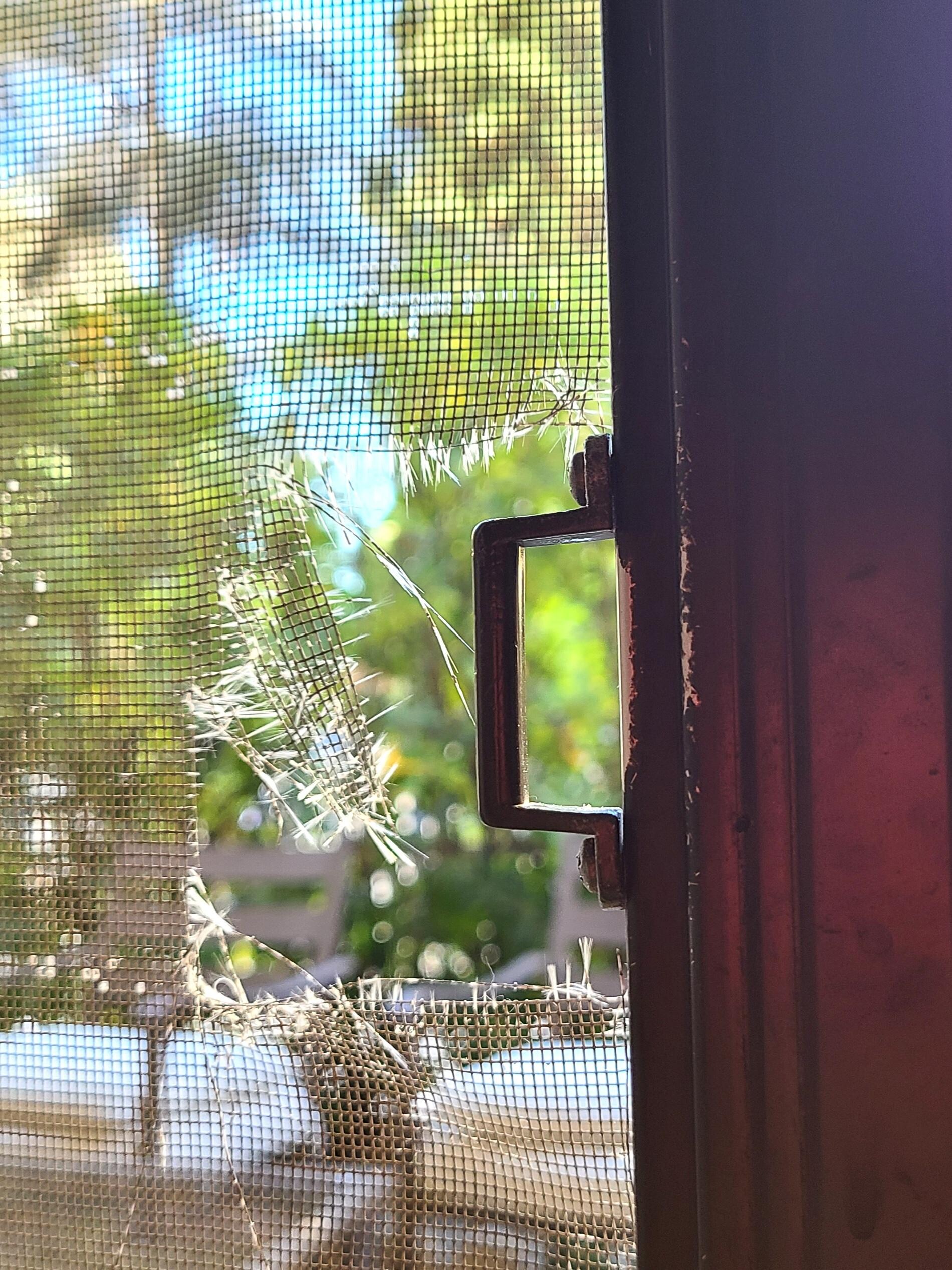 Moustiquaire déchirée 