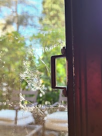 Moustiquaire déchirée