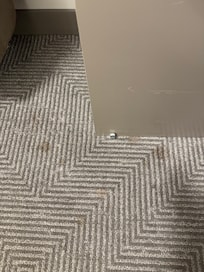 Stains on carpet.