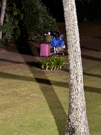 The homeless wandering around