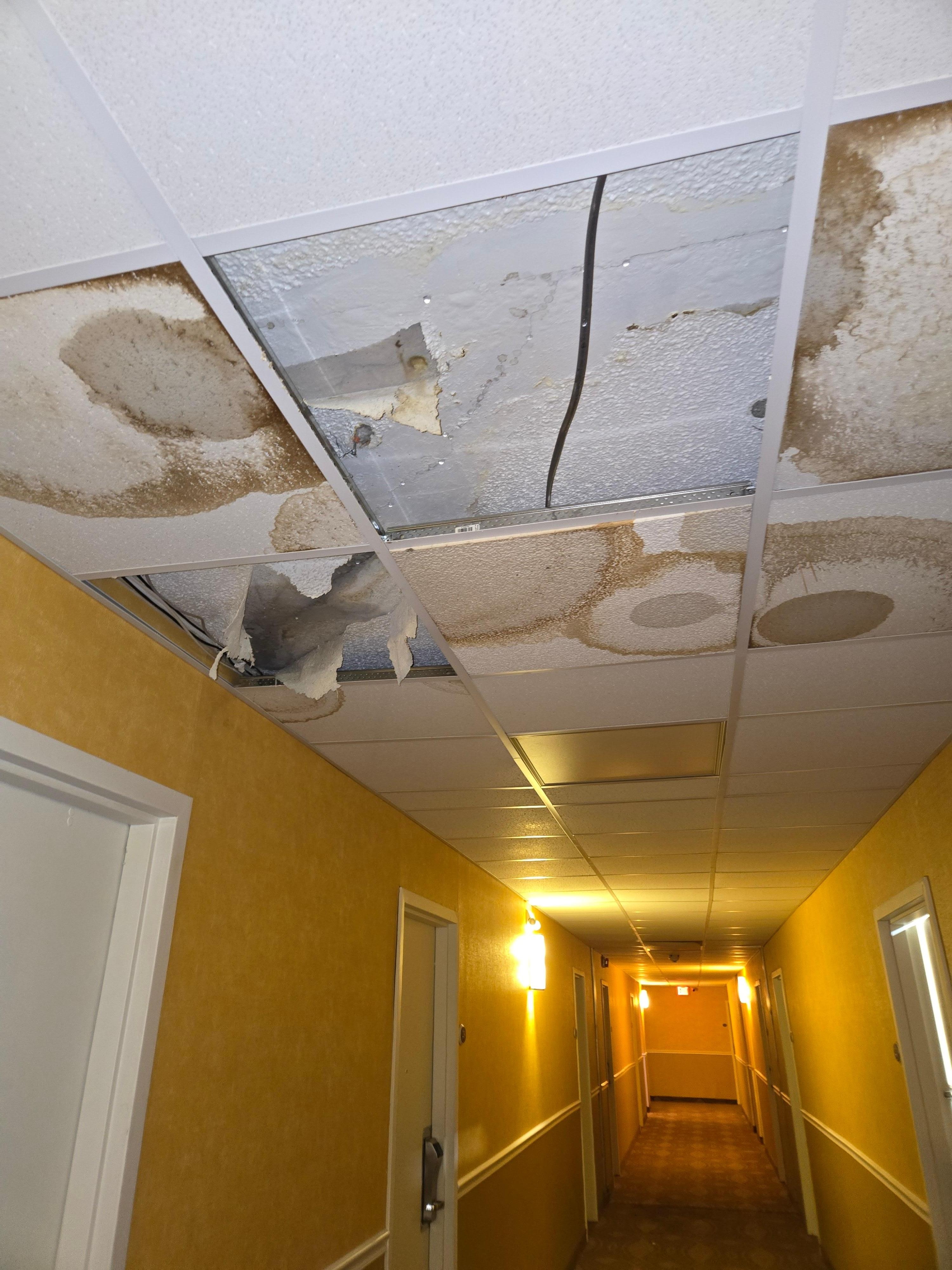 Hallway cieling just outside of my room