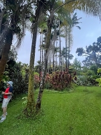 Open space