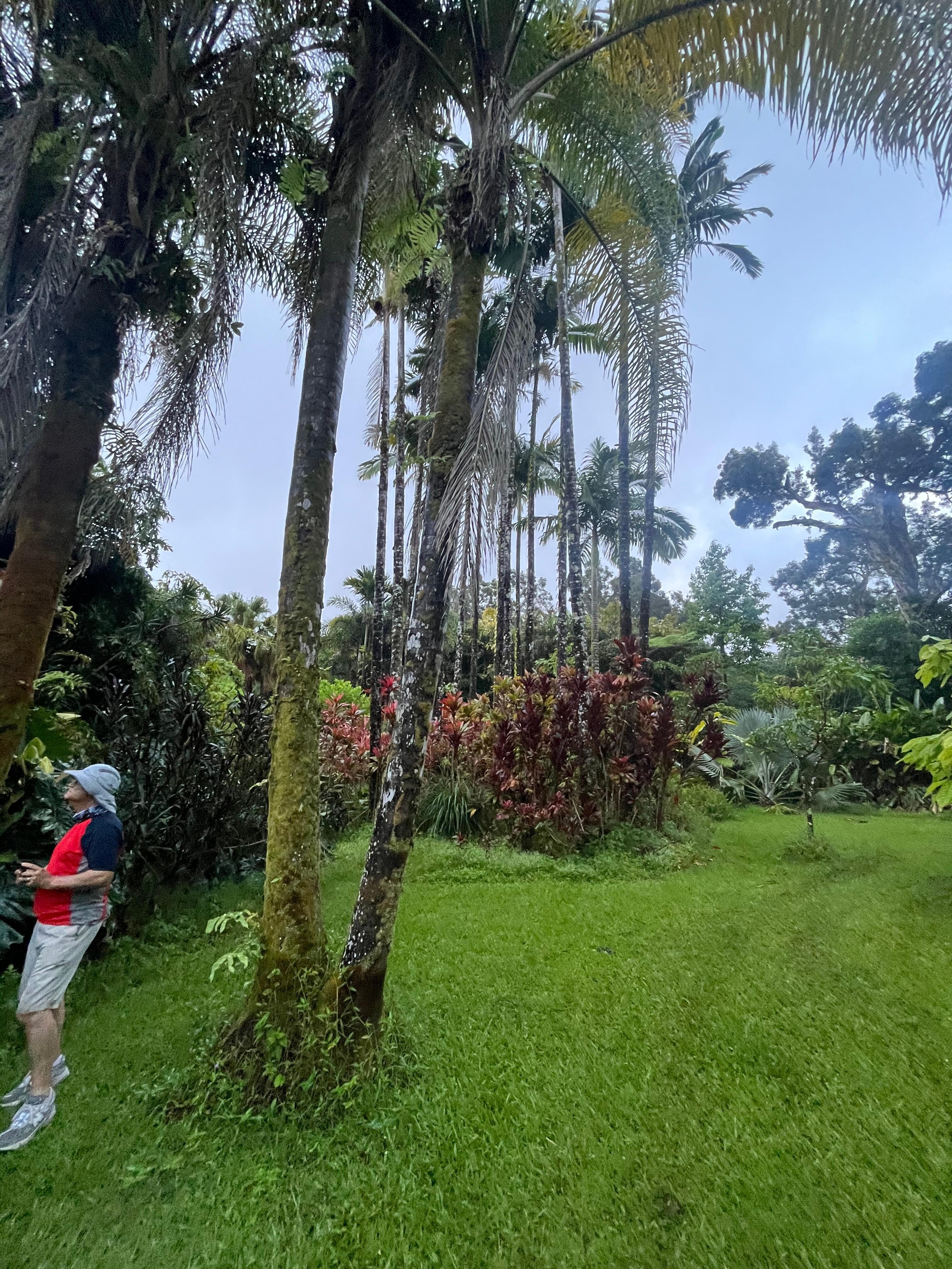Open space